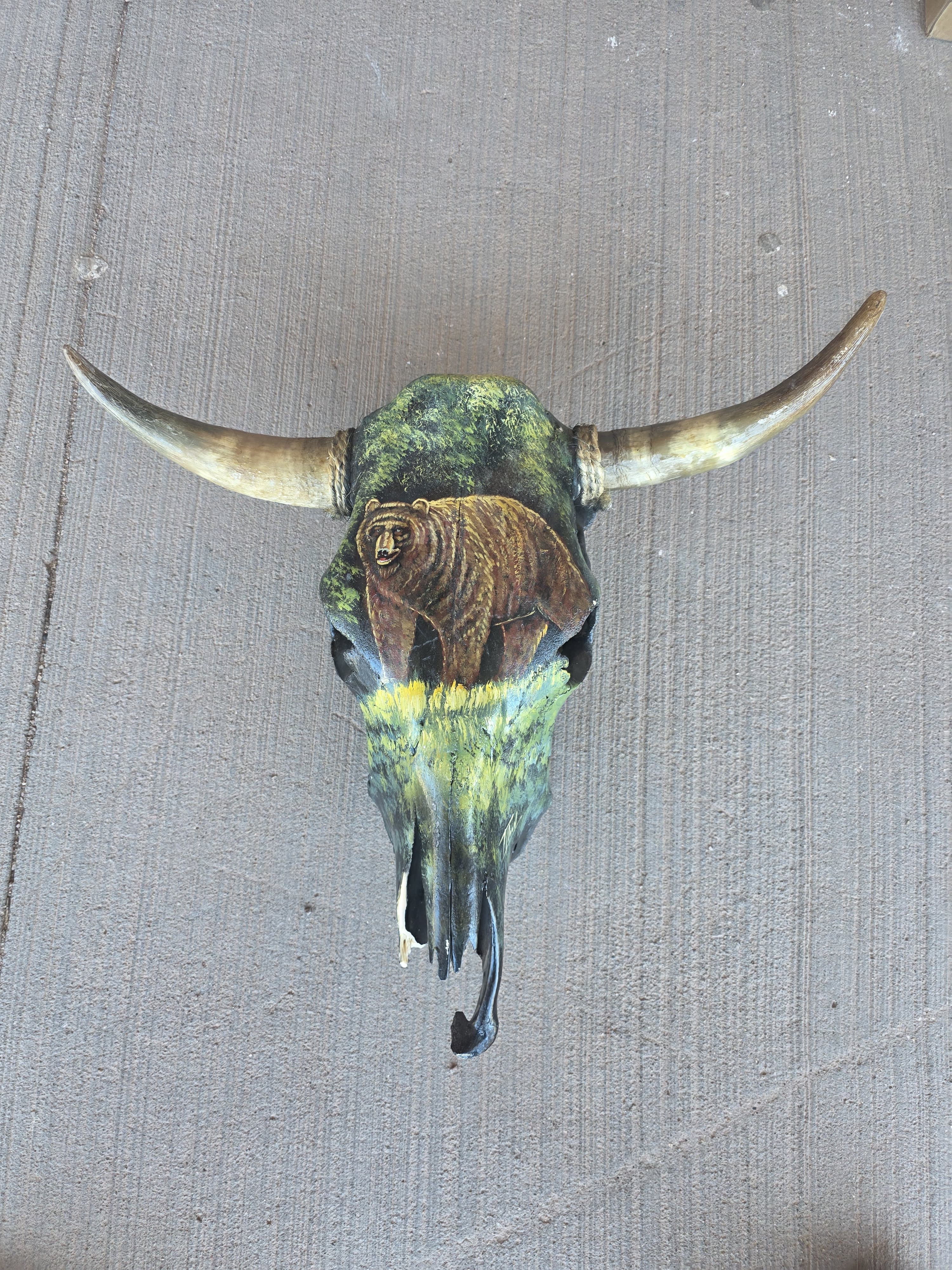 FHRAN78 - Hand-Painted Bear Longhorn Skull – Rustic Wildlife Art
