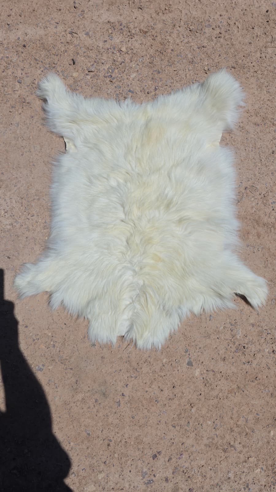 FHRAN85 - Cashmere Goat Pelt Hide – 25” x 17”