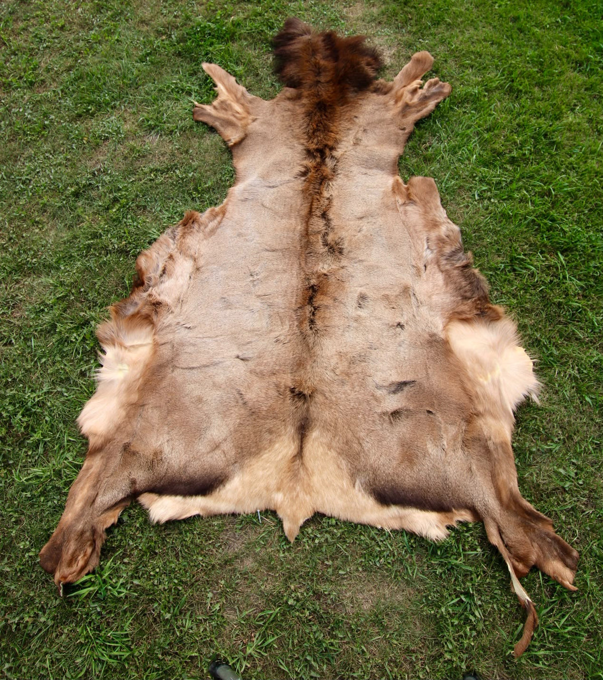 FHSP113 - Taxidermy Premium Tanned Elk Hide Pelt