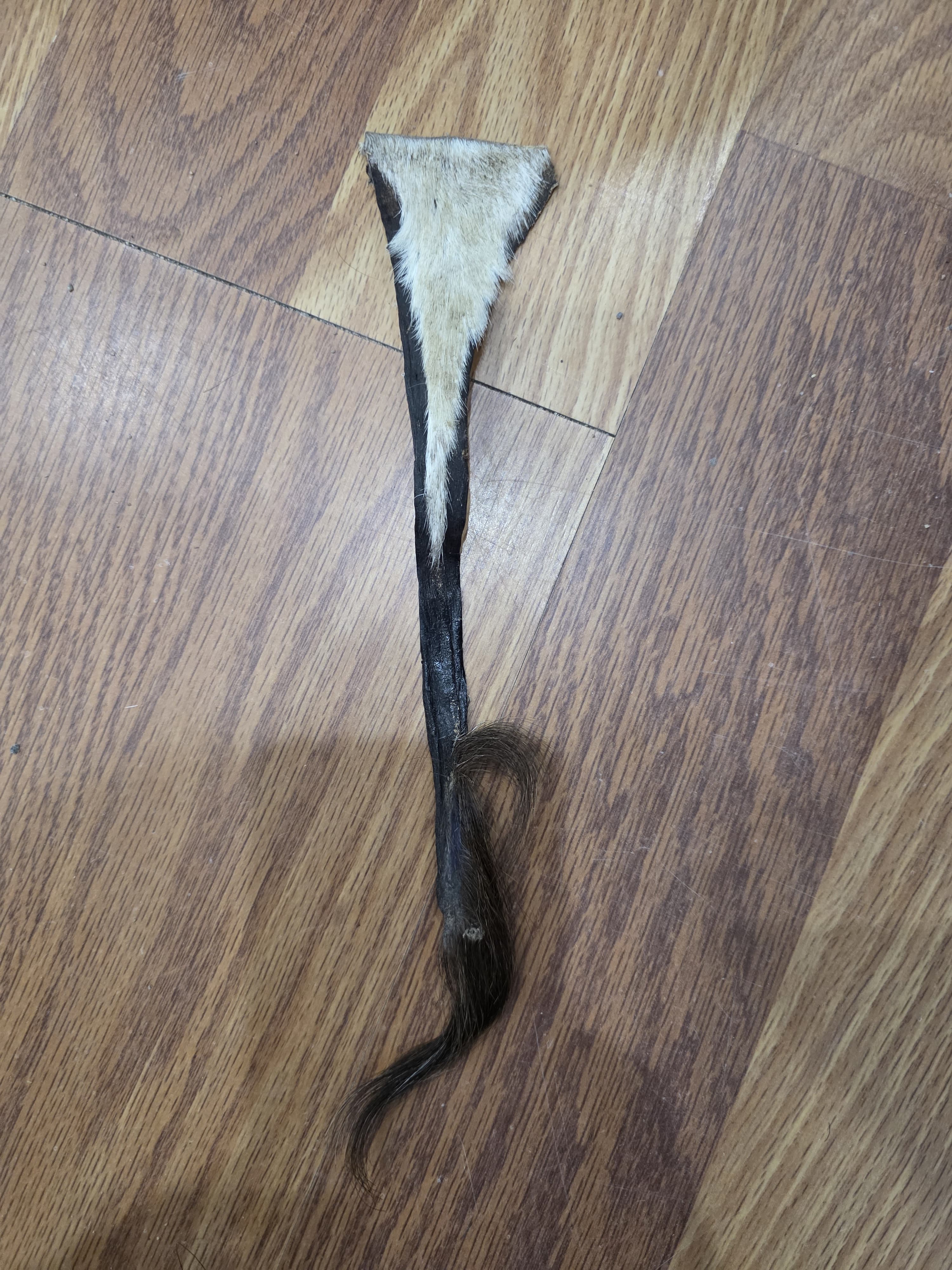 JVTL15A - Springbok Hide / Fur – Natural Rustic Décor