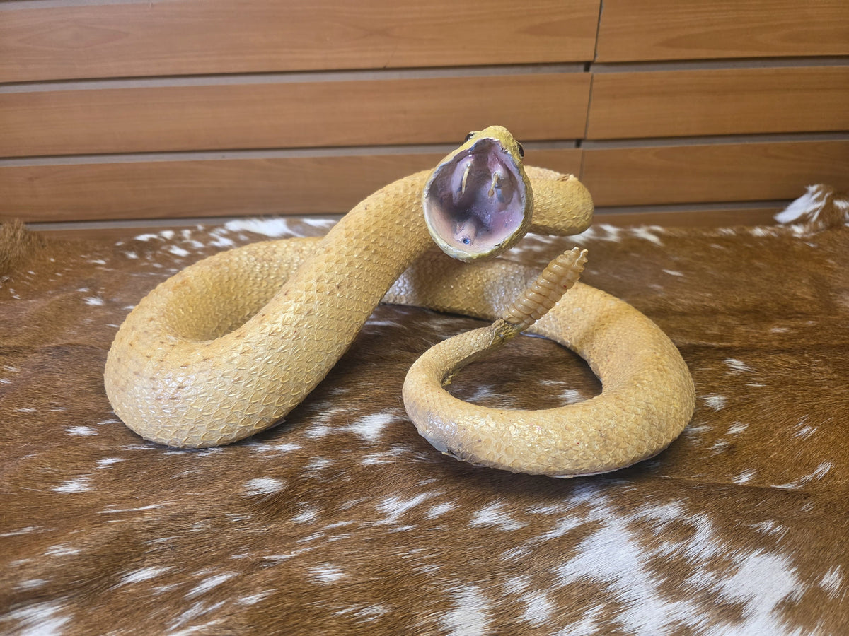 Fhsp100 - Golden Reticulated Python — Premium Taxidermy