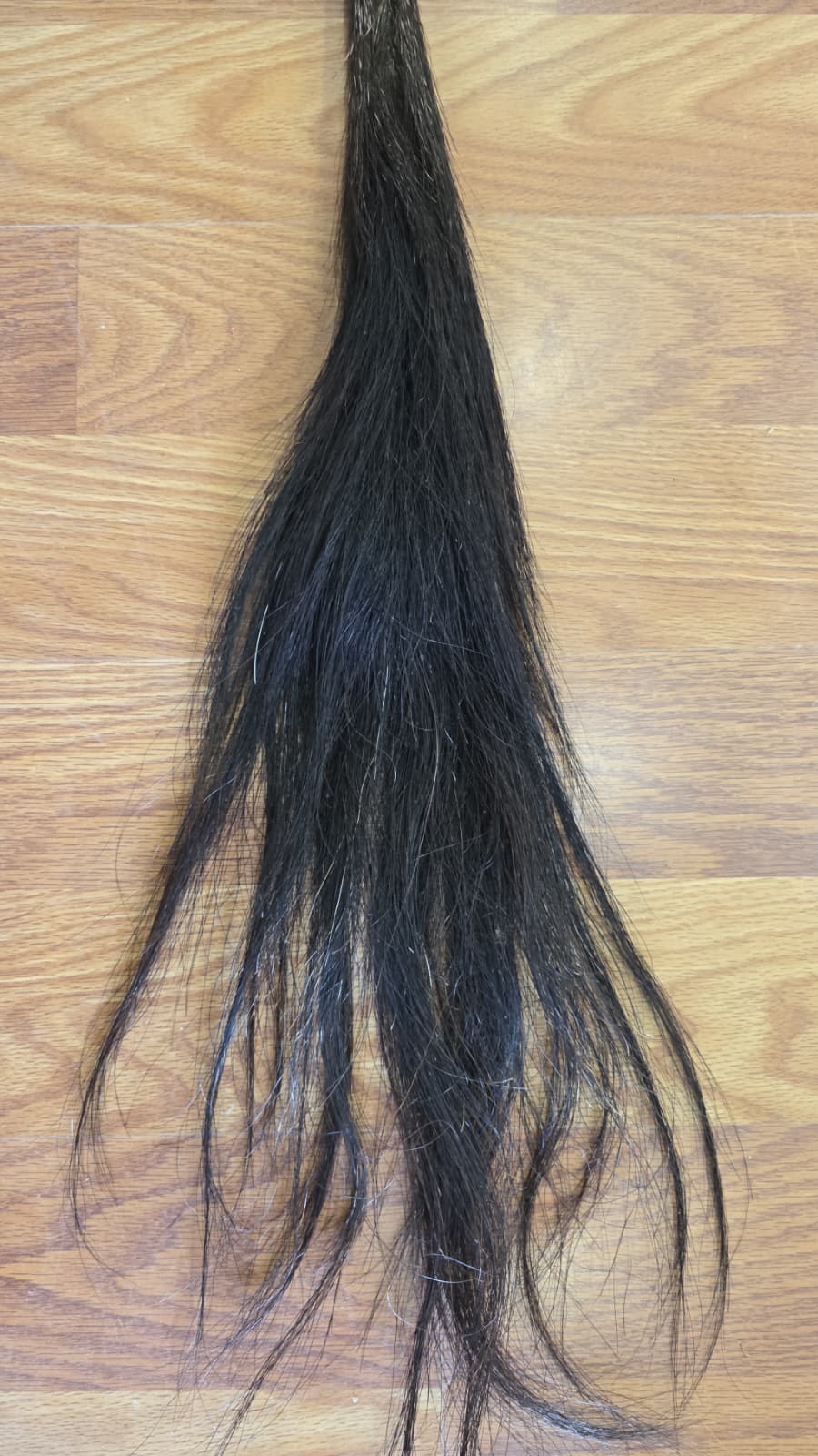 JVTL22 - African Tail Whip – 39” Rustic Display Piece