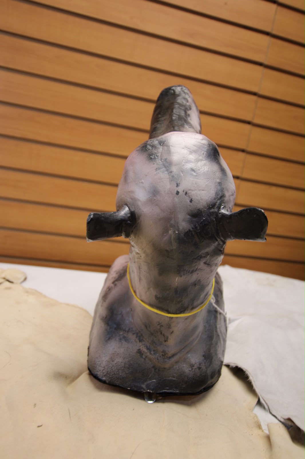 FHRBB06 - reproduction Artisanal Taxidermy Dog Specimen