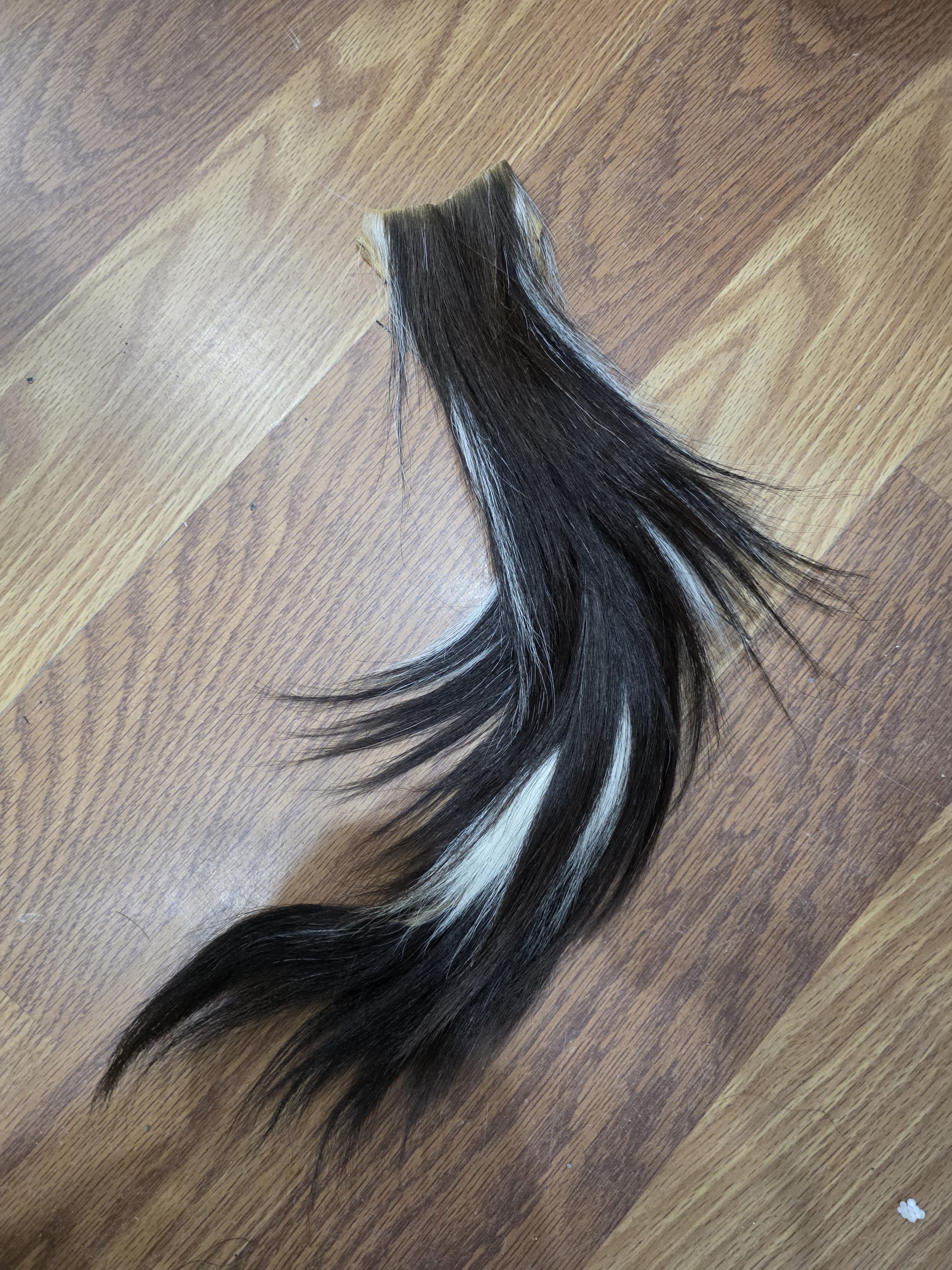 JVtl13 - Nyala Tail – 18” Rustic Decorative Display