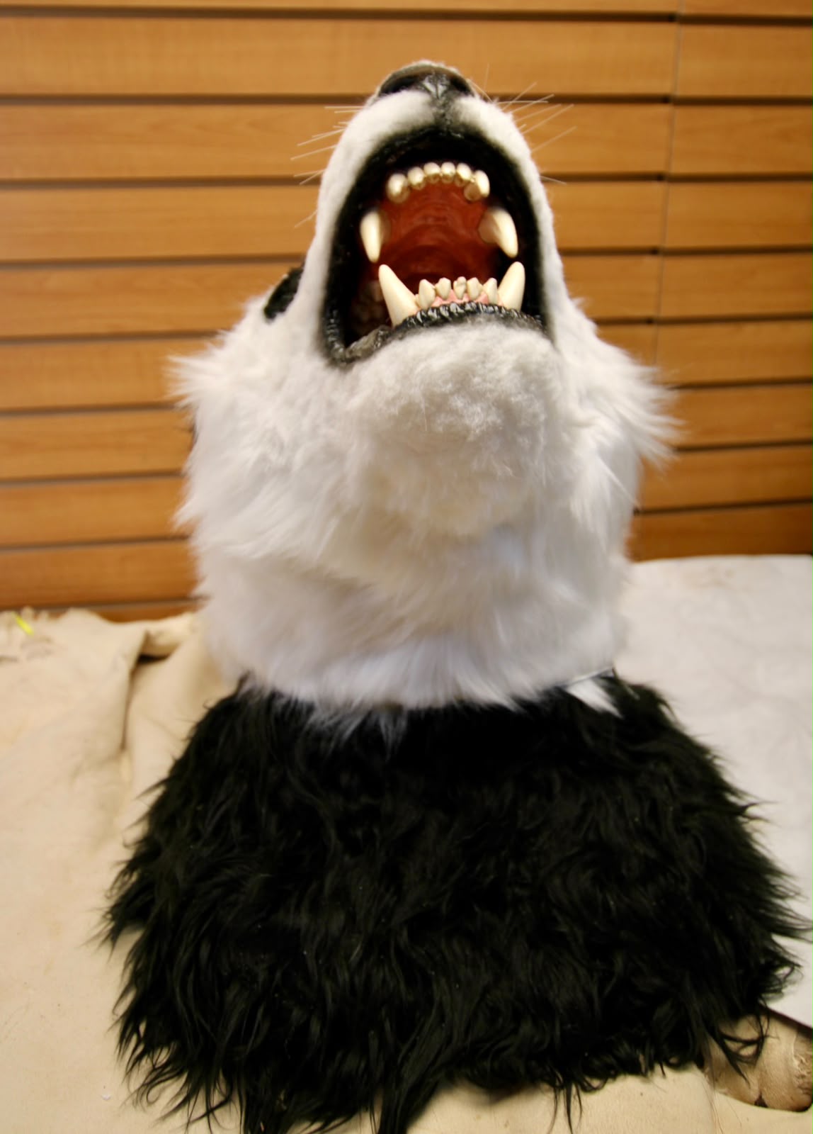 FHRB07 - reproduction Taxidermy Giant Panda Shoulder Mount