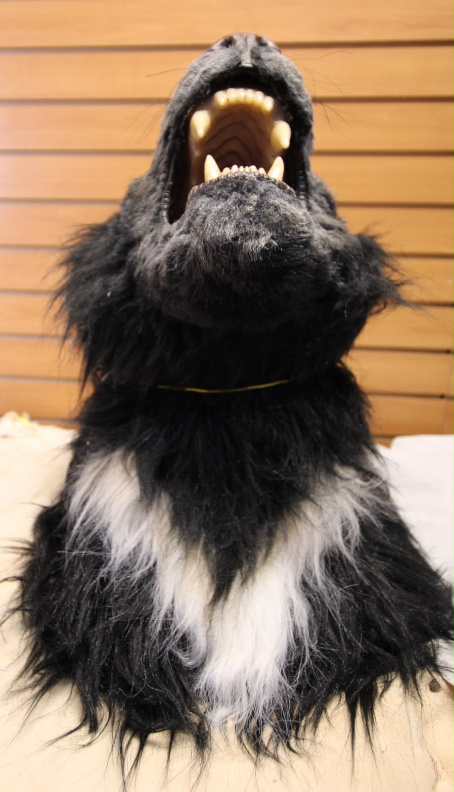 FJRB02 - reproduction Taxidermy Mythological Black Werewolf Custom Shoulder Mount