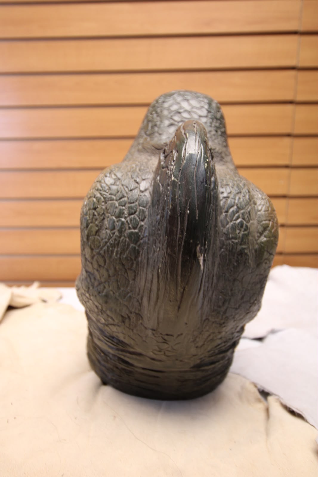 Dinosaur 1 - Museum-Grade Taxidermy-Style Velociraptor Head Mount