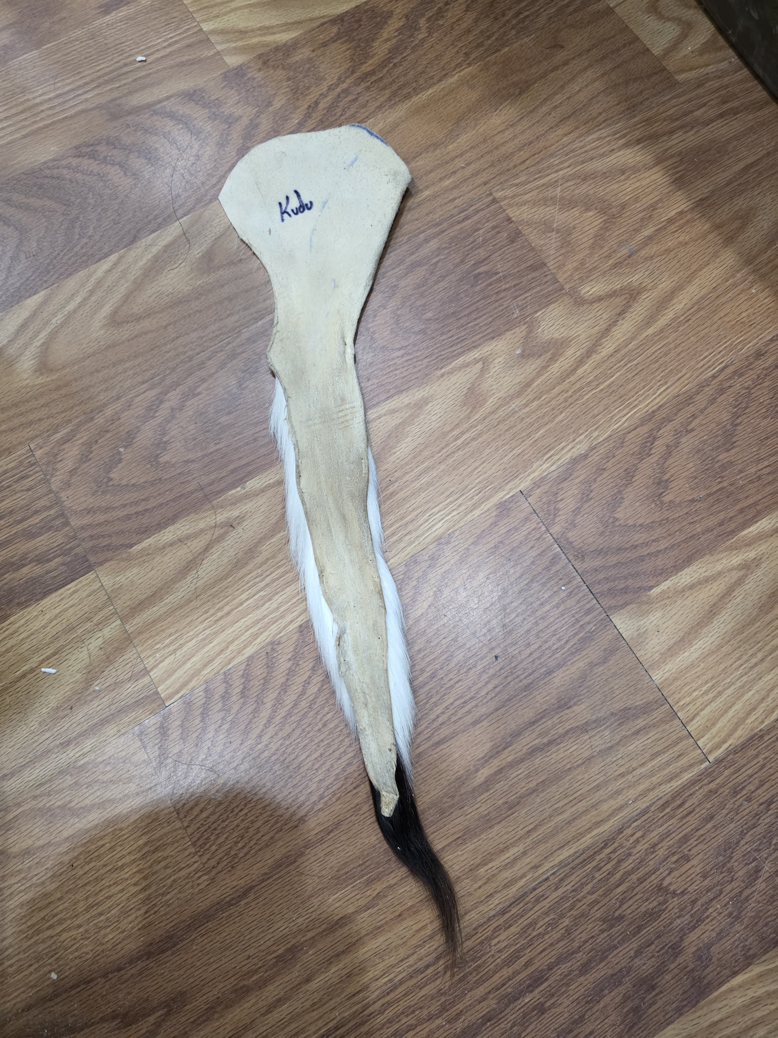 JVTL8 - Kudu Tail – 23” Rustic Decorative Display