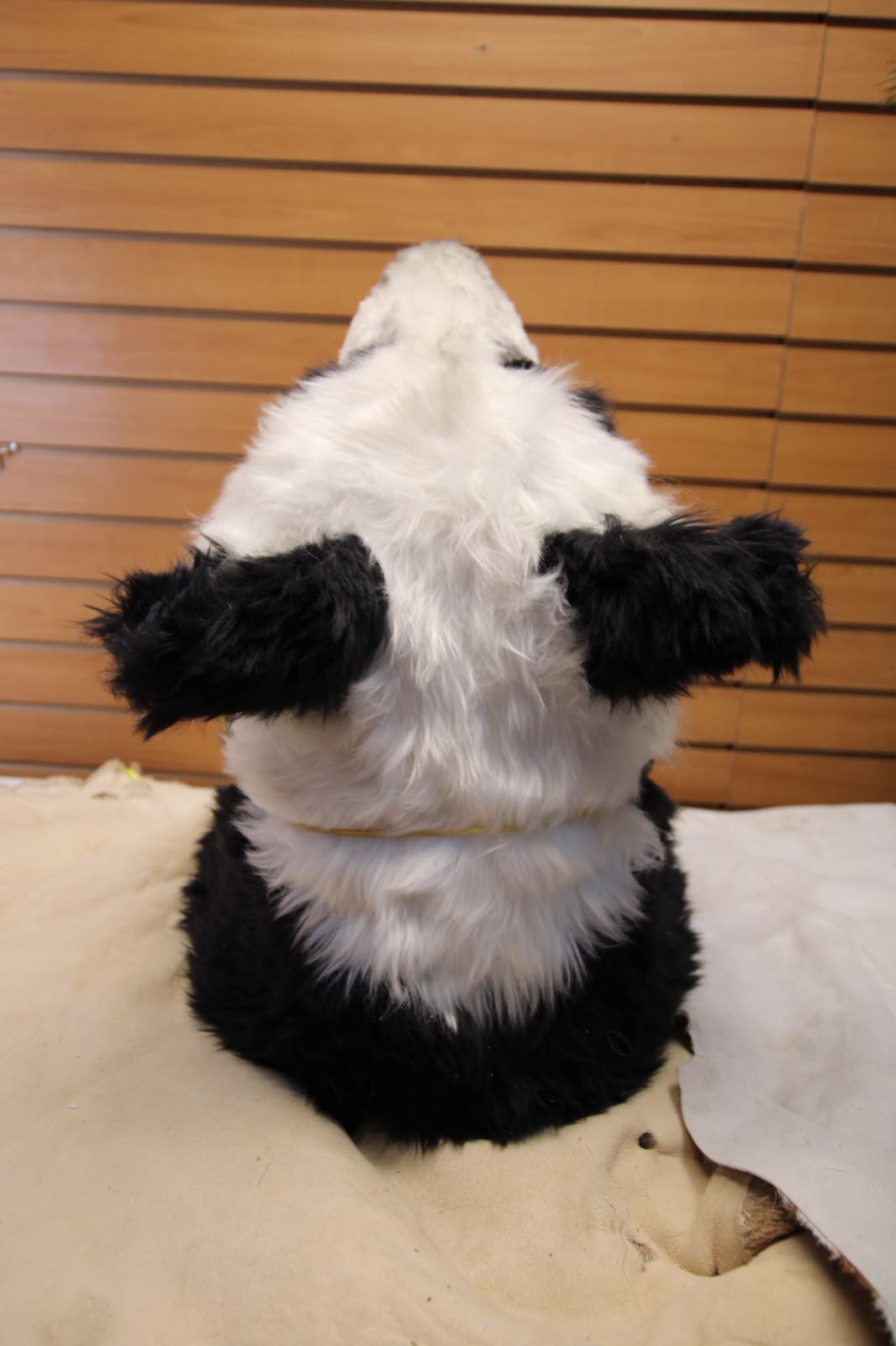 FJRB06 - reproduction Taxidermy Giant Panda Shoulder Mount