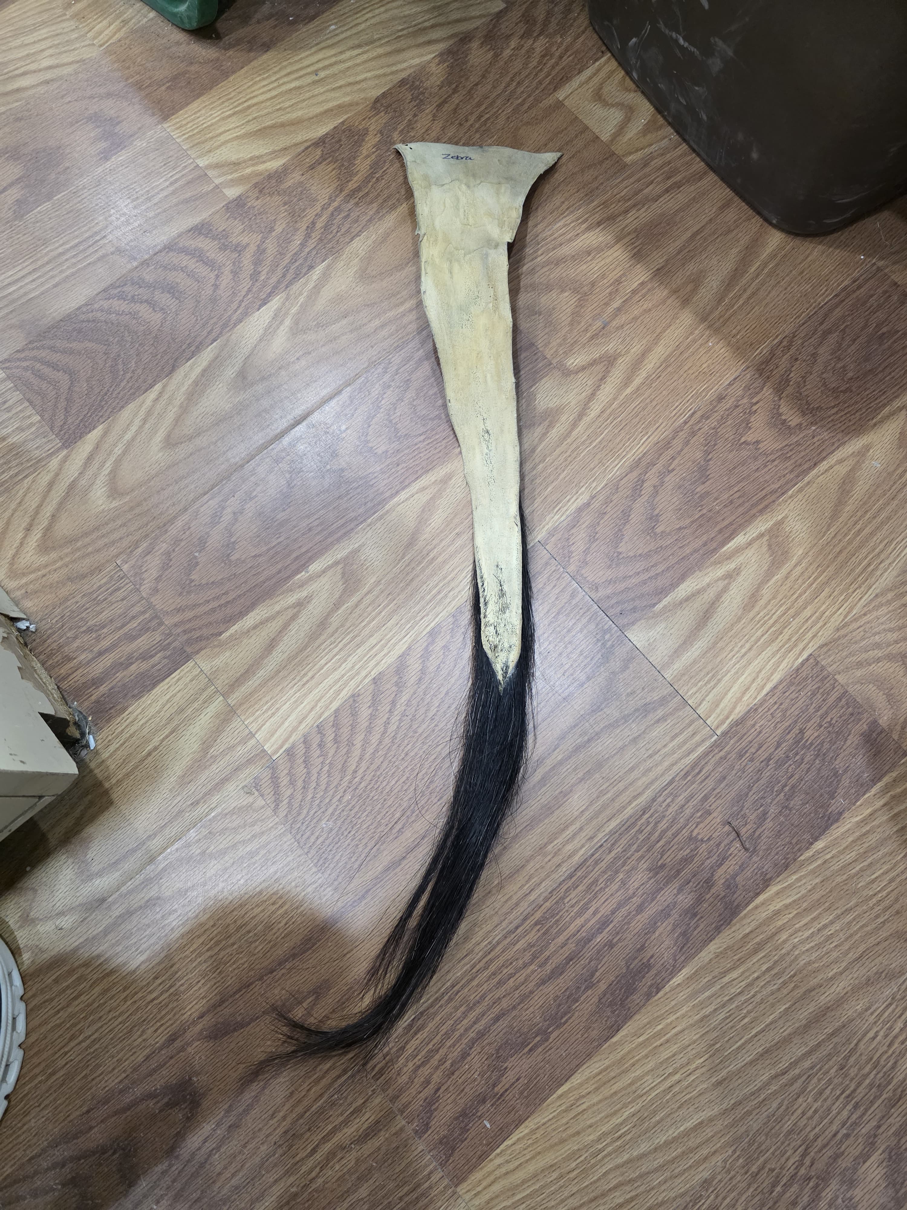 JVTL2 - Zebra Tail 32" | Authentic Wildlife Display