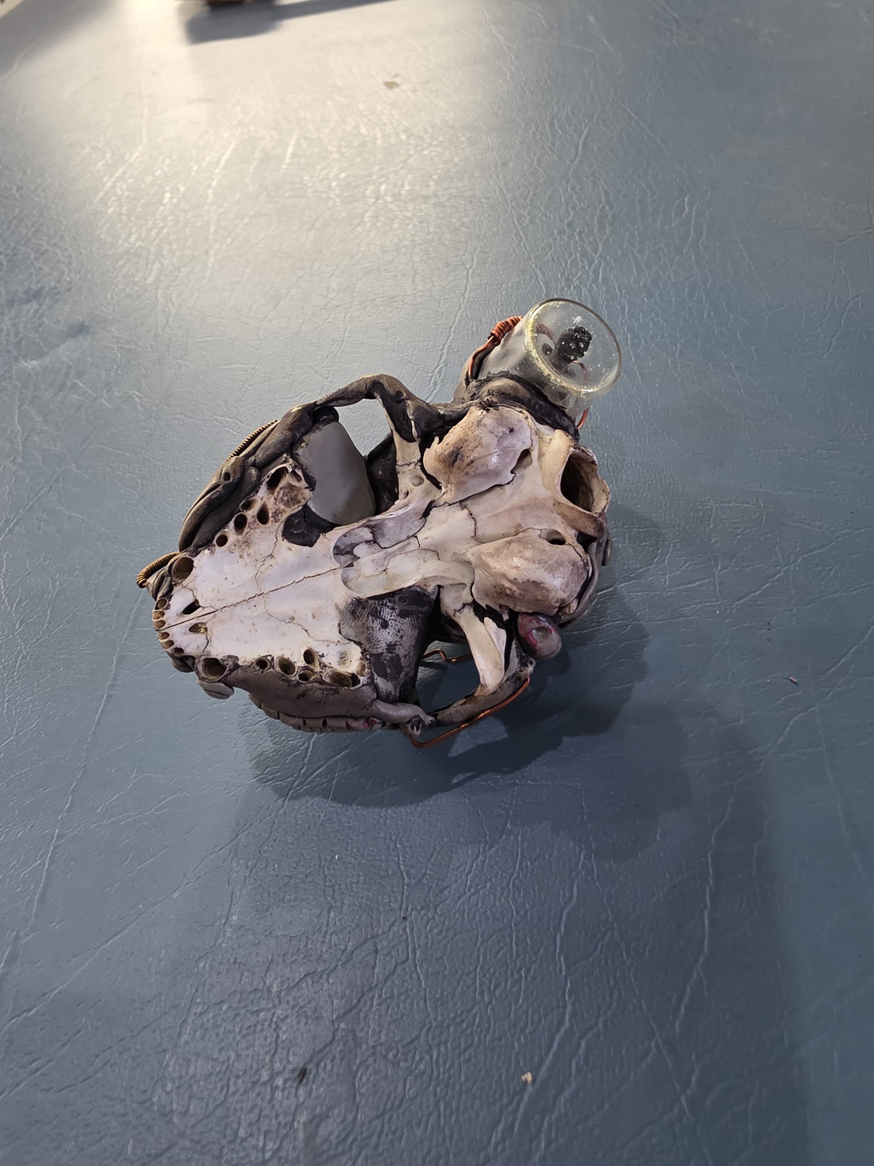 Fhst1 - Steampunk Monkey Skull Display