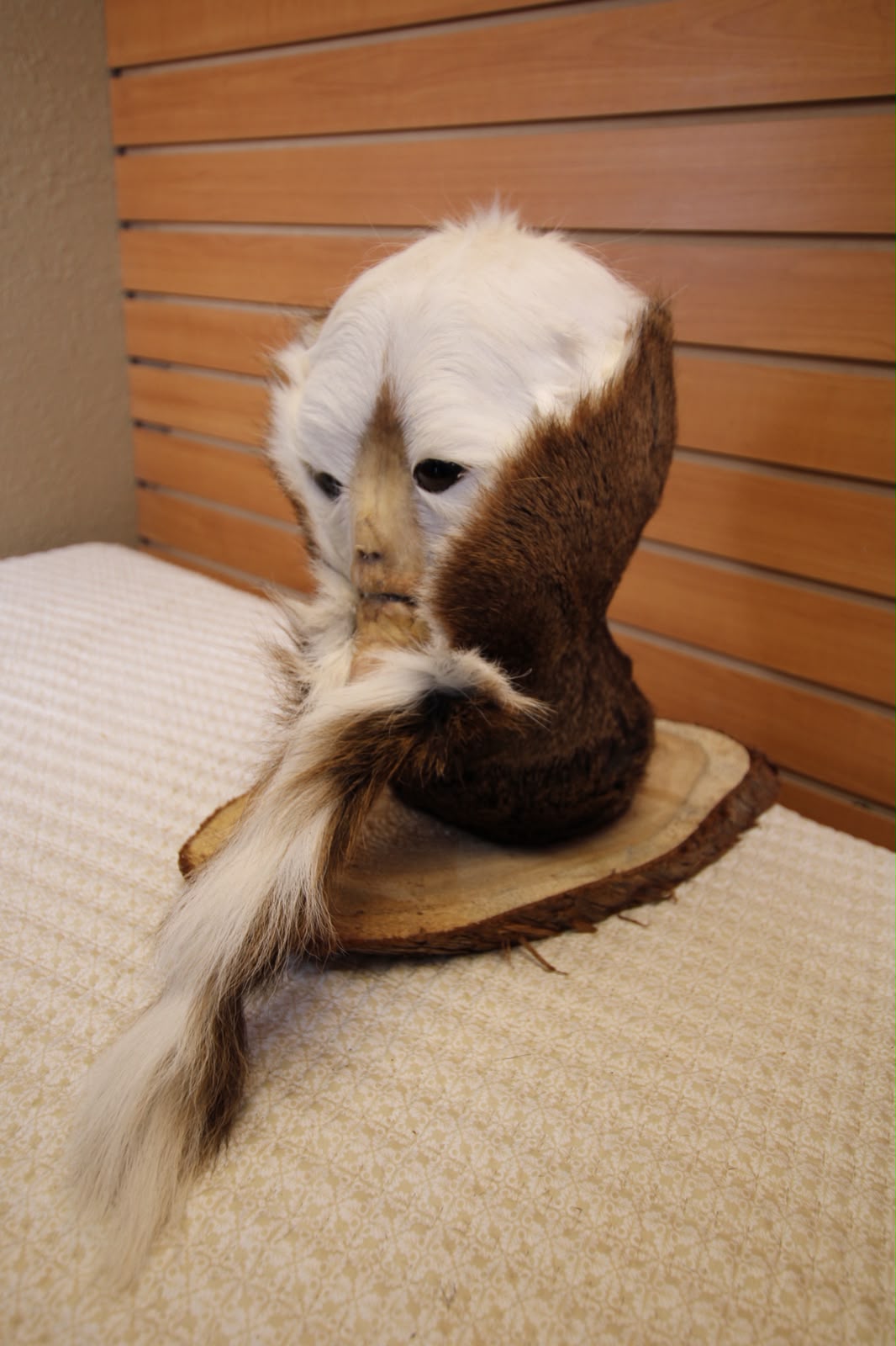 FHSP127 - Custom Swamp Monster Taxidermy Mount