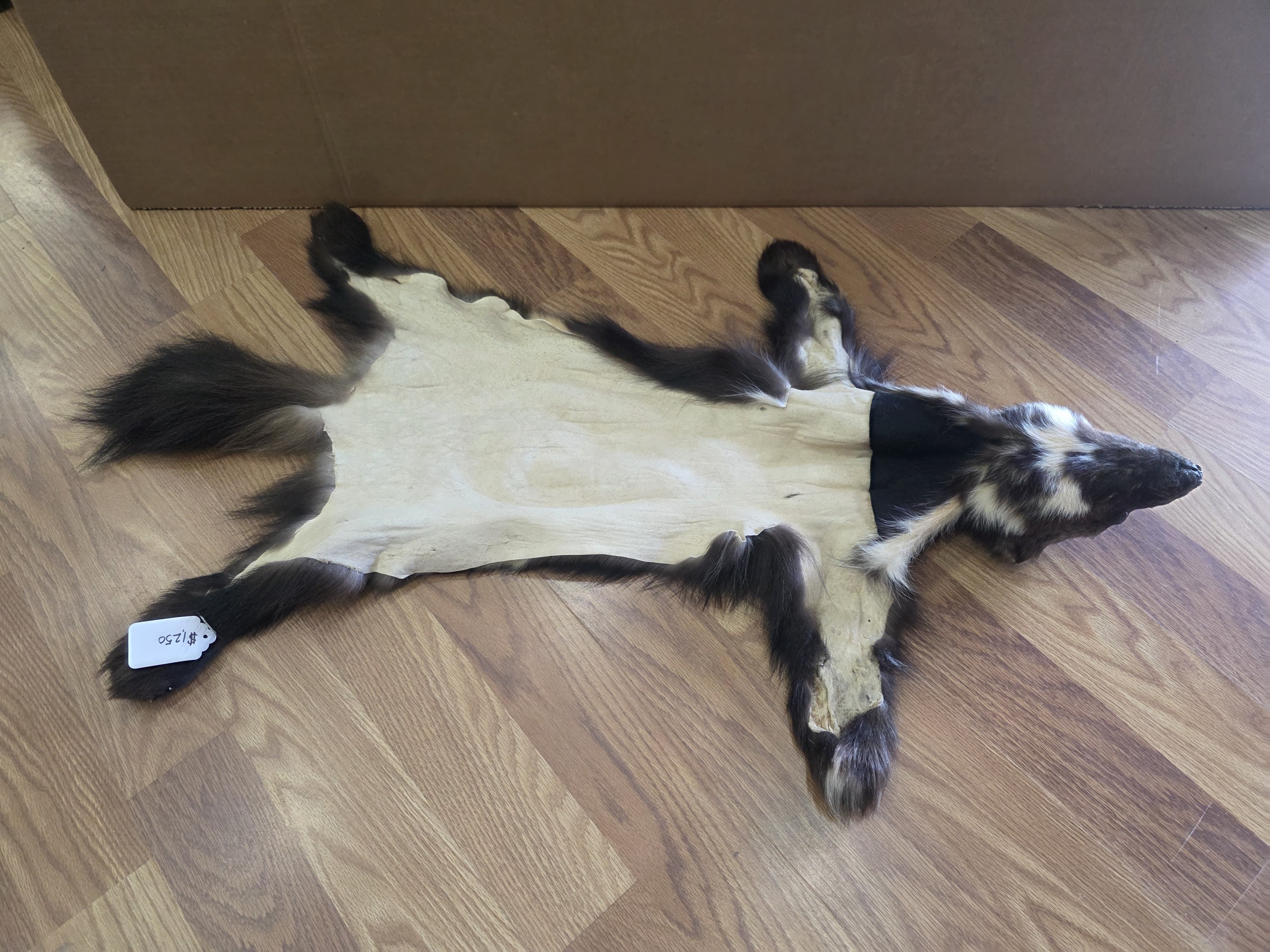 Fhwvr304 - Wolverine Rug with Head | Authentic Hide Display