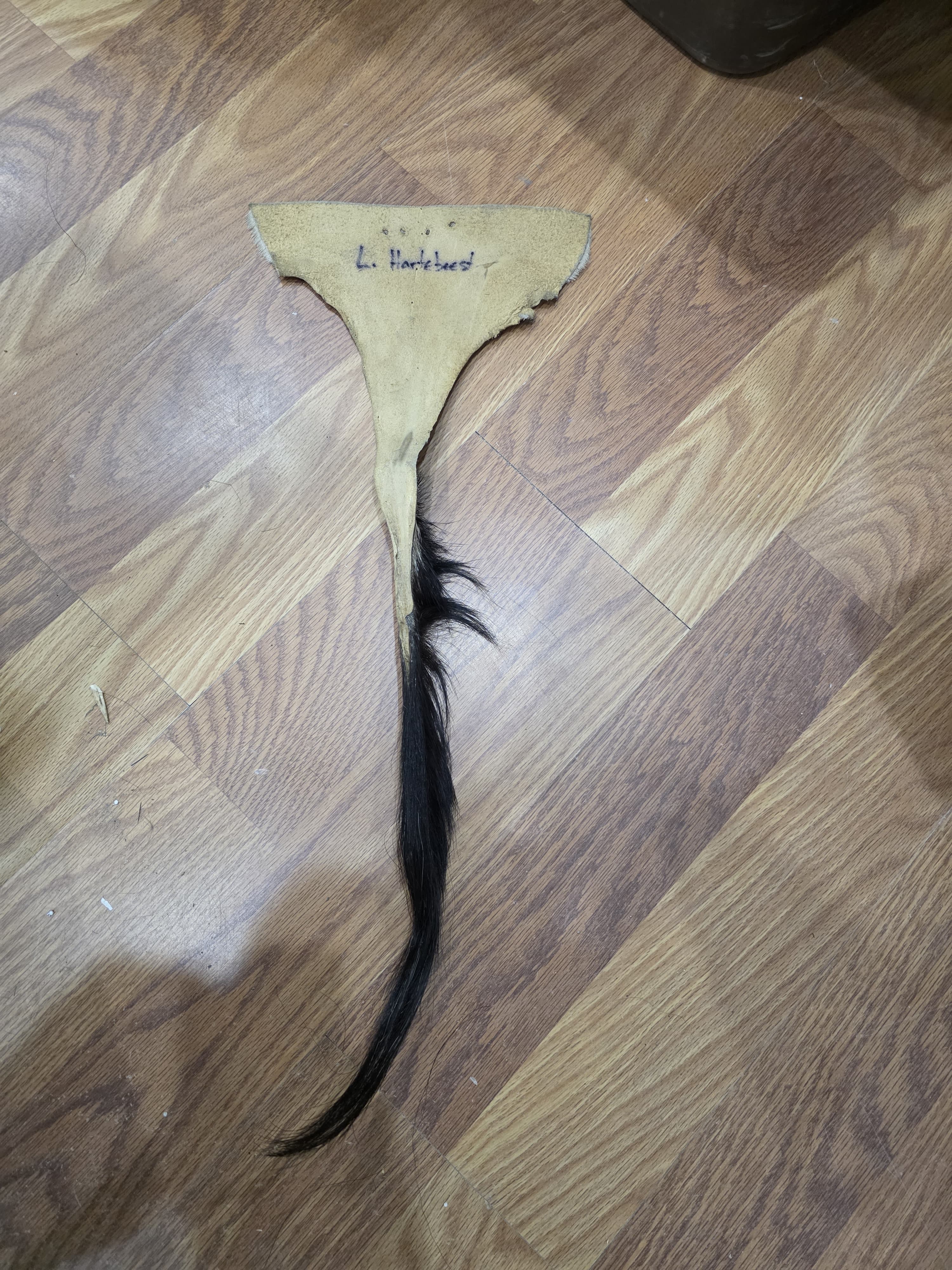 JVTL10 - Lichtenstein's Hartebeest Tail – 26” Rustic Decorative Display