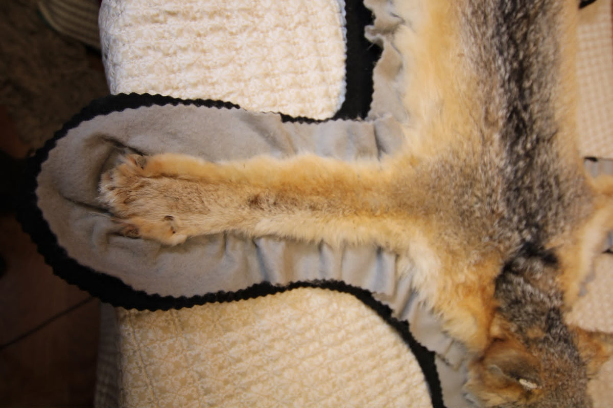 FHSP133 - Full-Pose grey Fox rug taxidermy