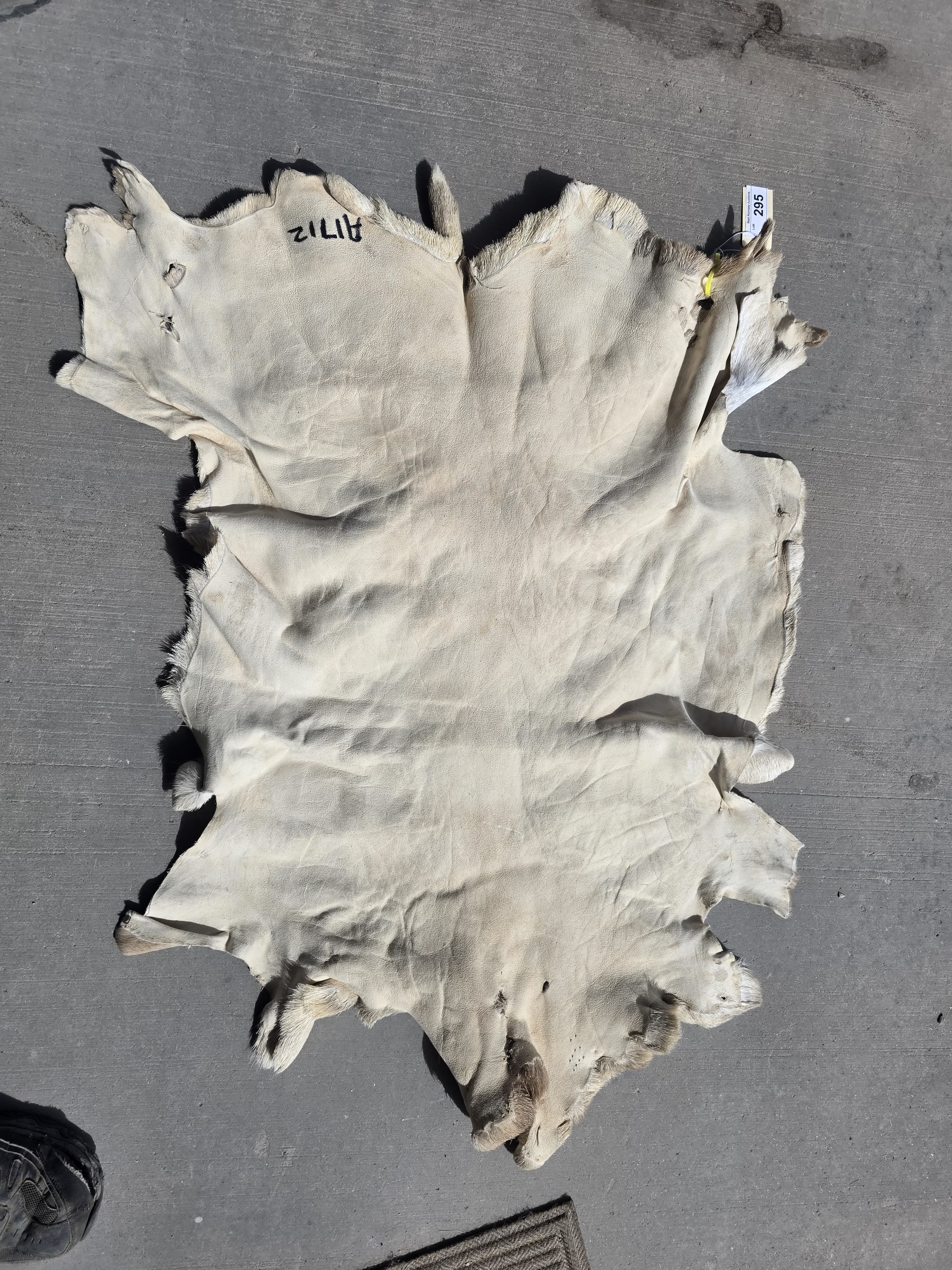 FHRAN91 - Natural Pronghorn Antelope Hide / Fur – 34” x 25”