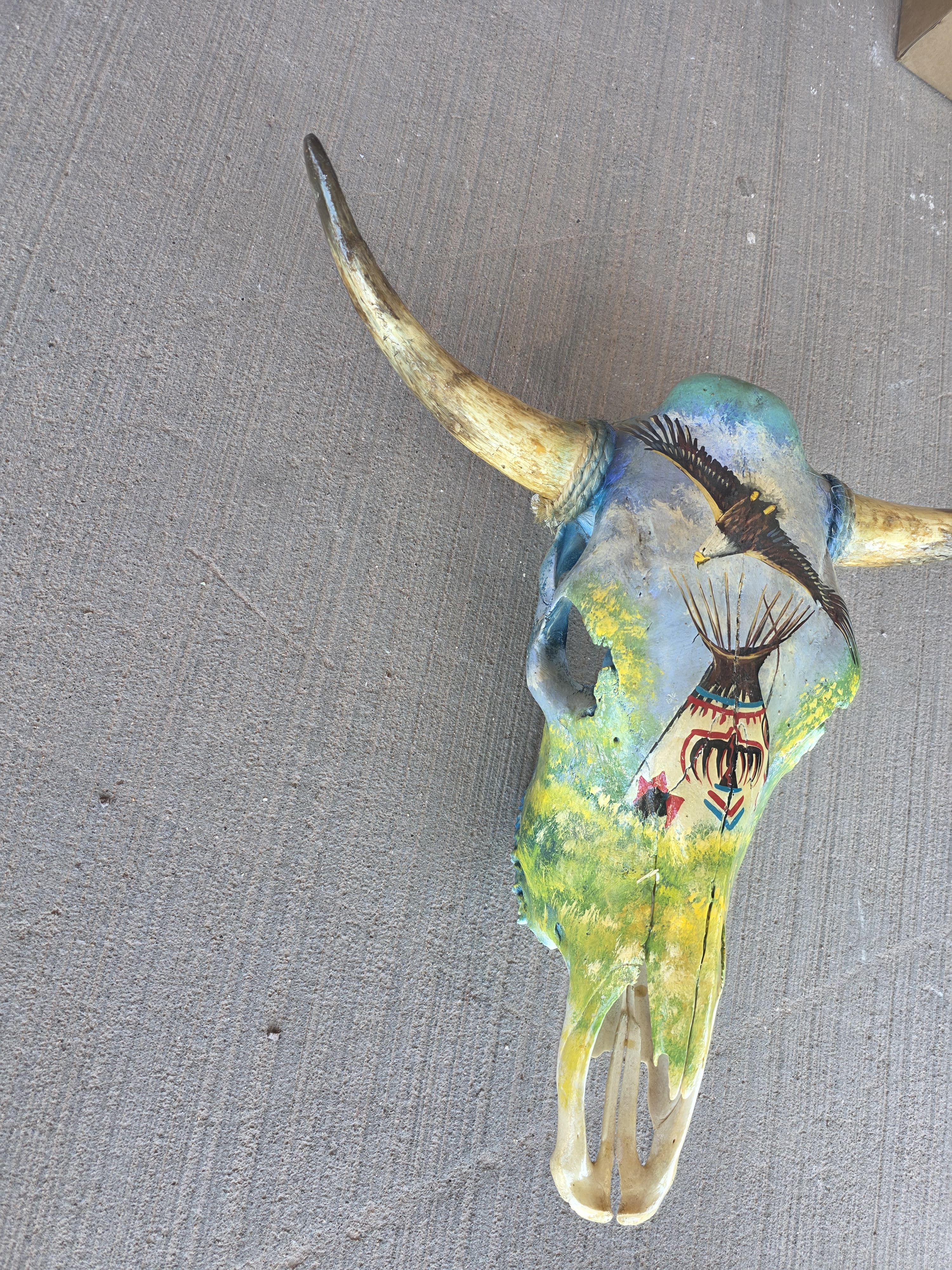 FhRAN81 - Hand-Painted Wilderness Scene Cow Skull