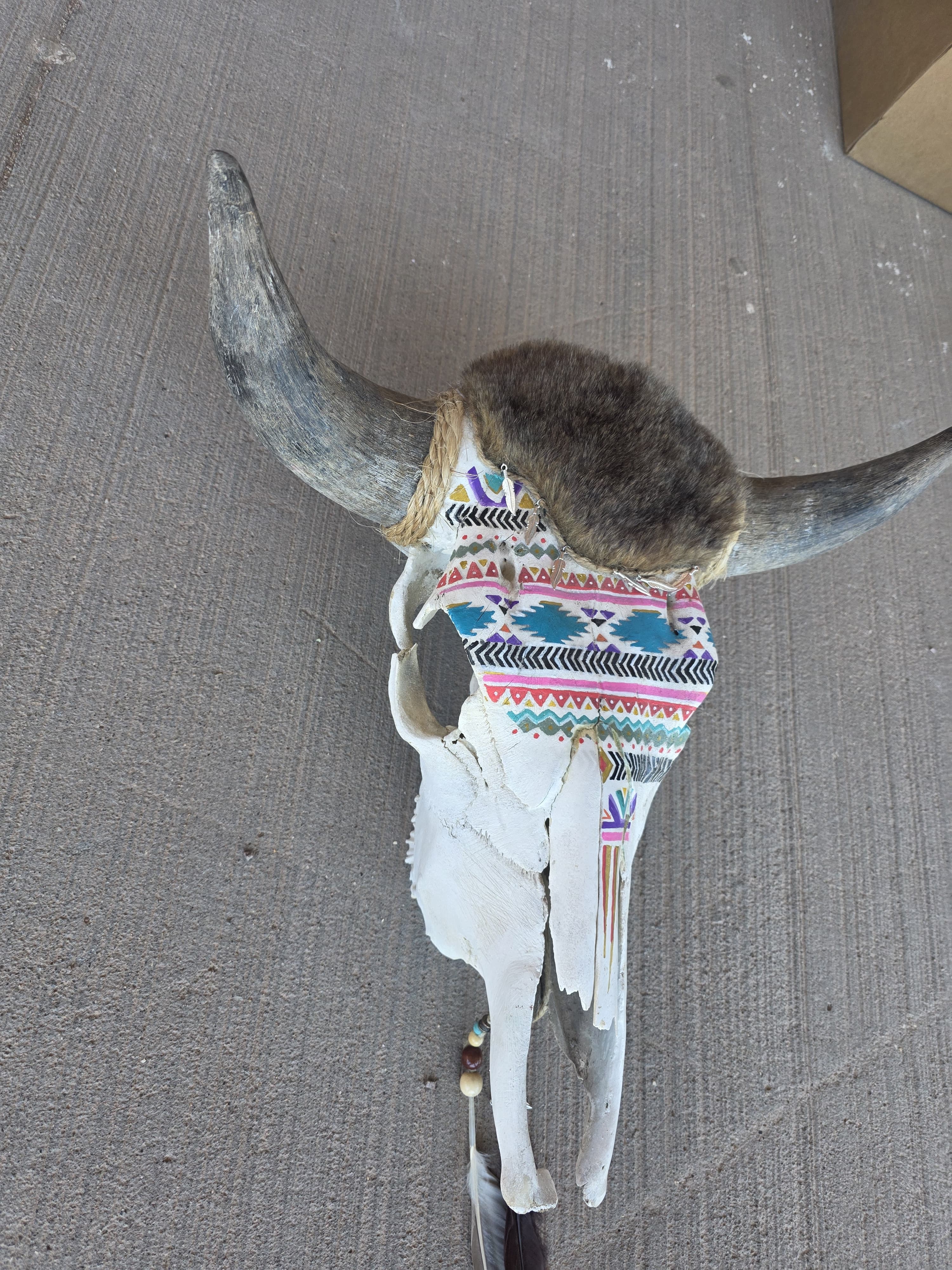 FHRAN80 - Geometric Tribal Cow Skull