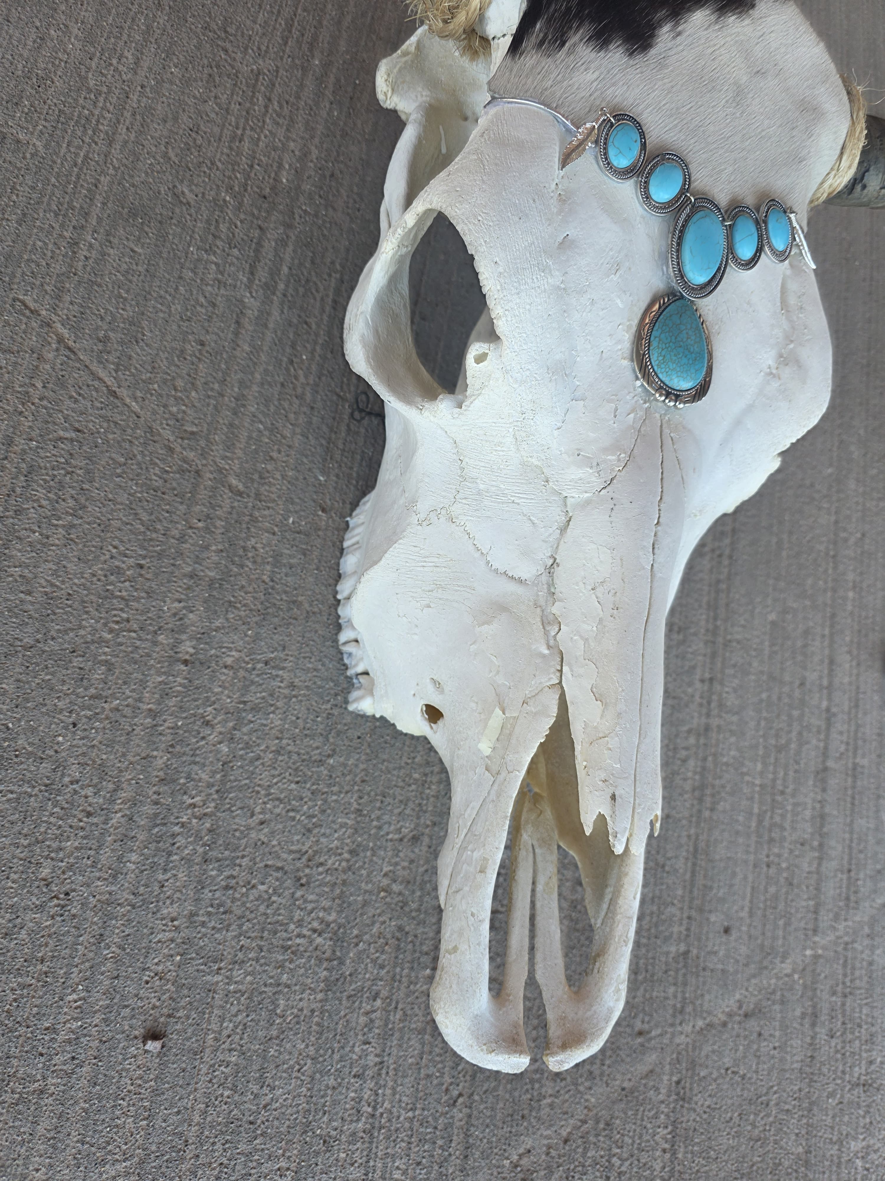 FHRAN79 - Western Longhorn Skull with Turquoise Accent – Rustic Wall Décor