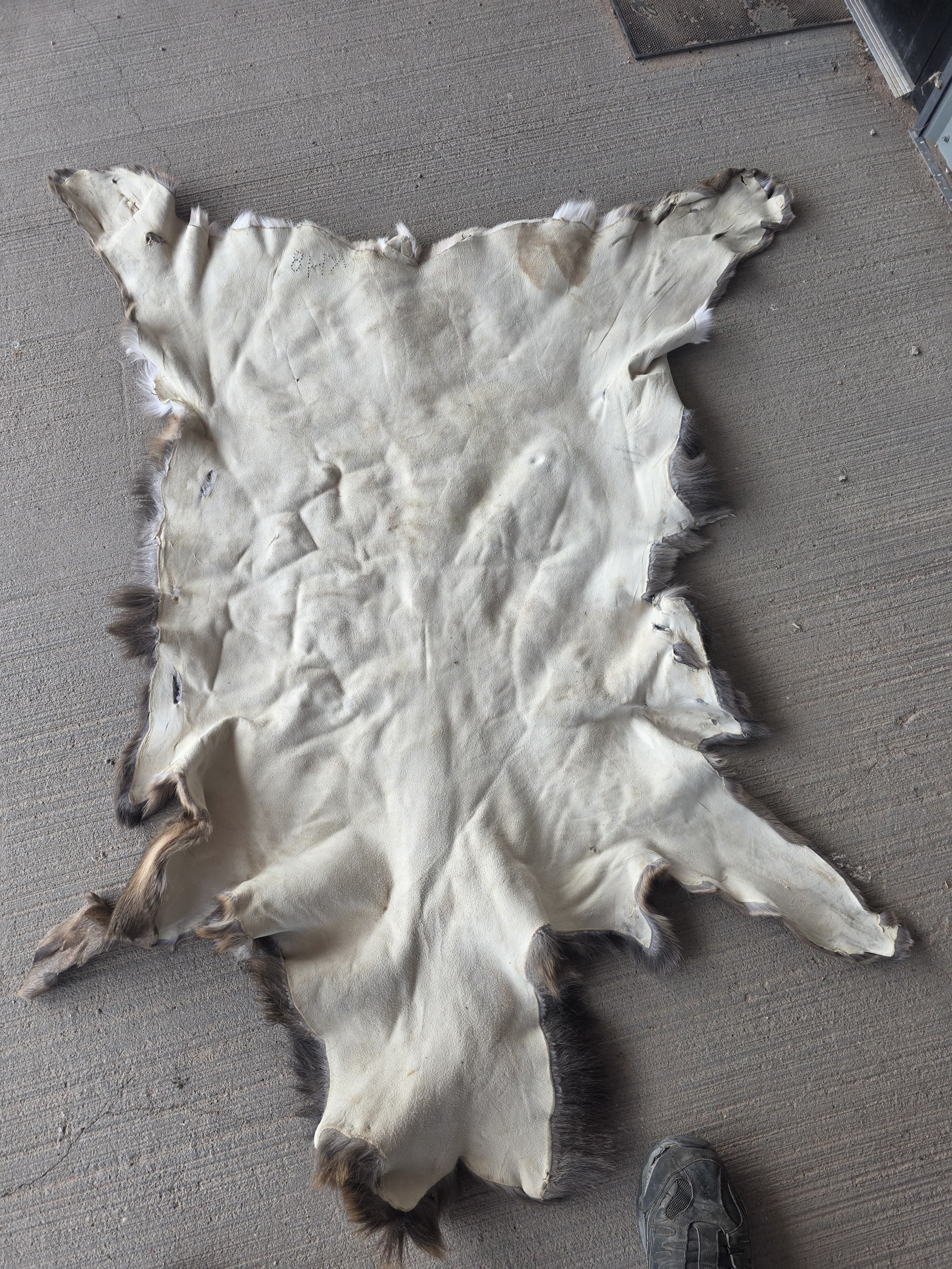 FHRAN86 - Elk Hide Pelt Fur – 48” x 29”