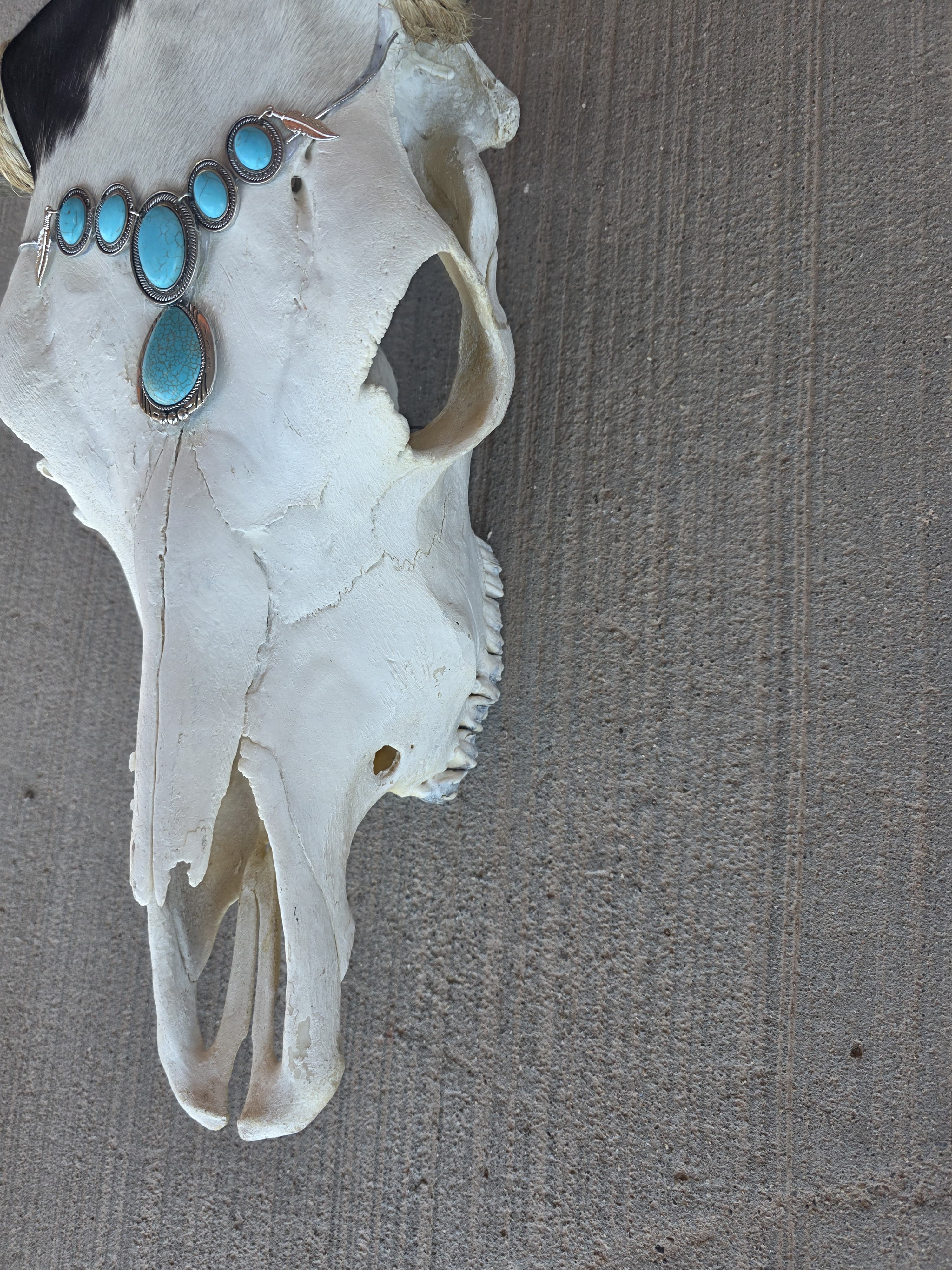 FHRAN79 - Western Longhorn Skull with Turquoise Accent – Rustic Wall Décor