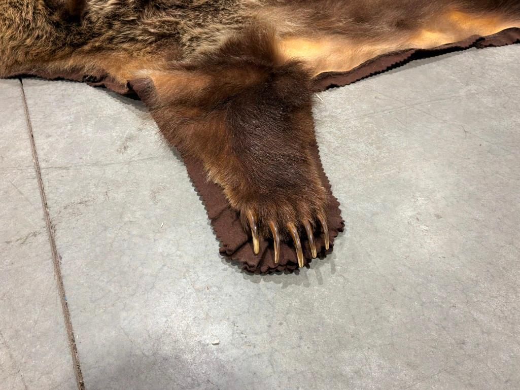 FHAB41 - Grizzly bear rug with large claws and prime fur