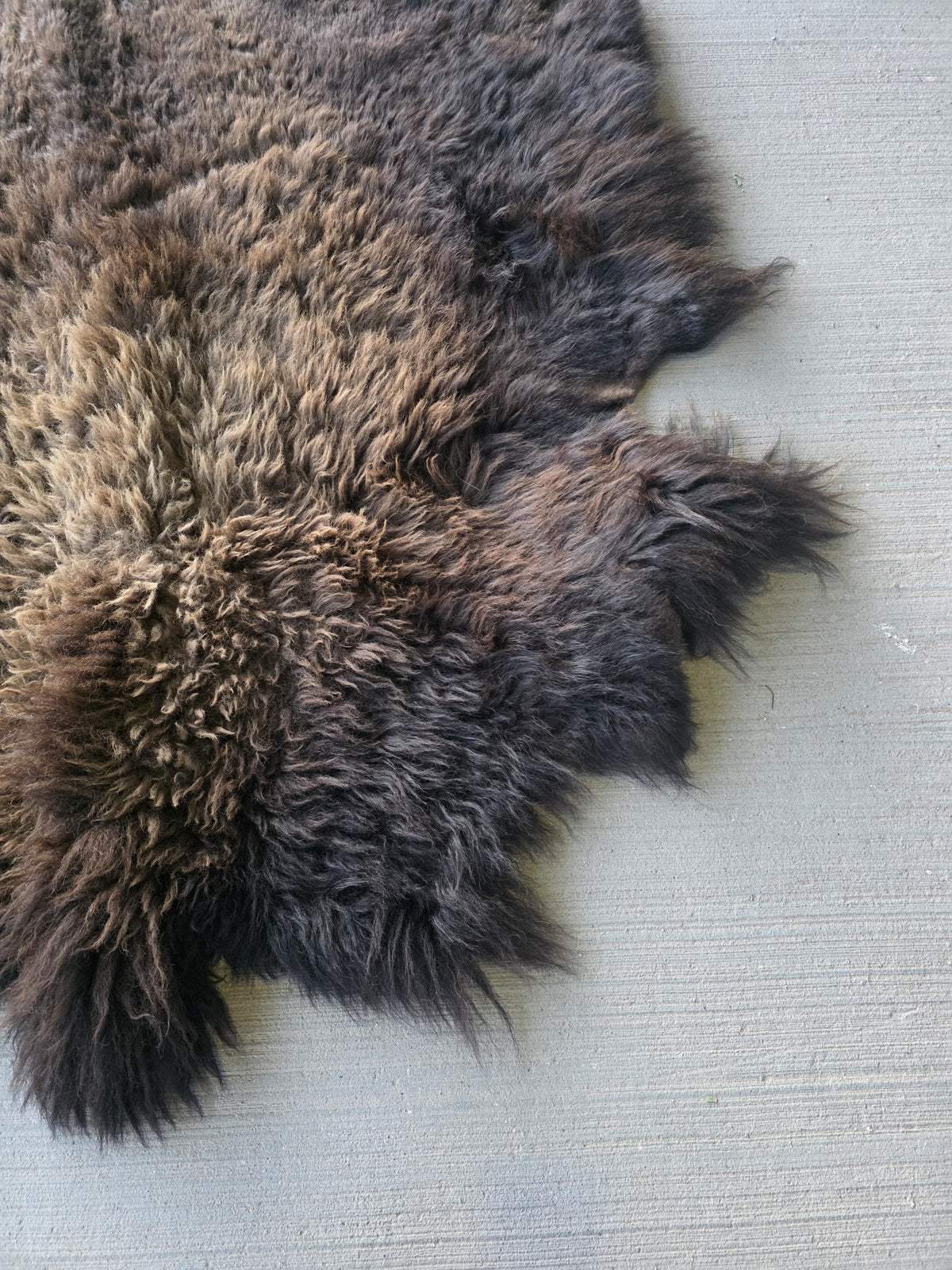Fhsp108 - Buffalo Taxidermy Hide Rug