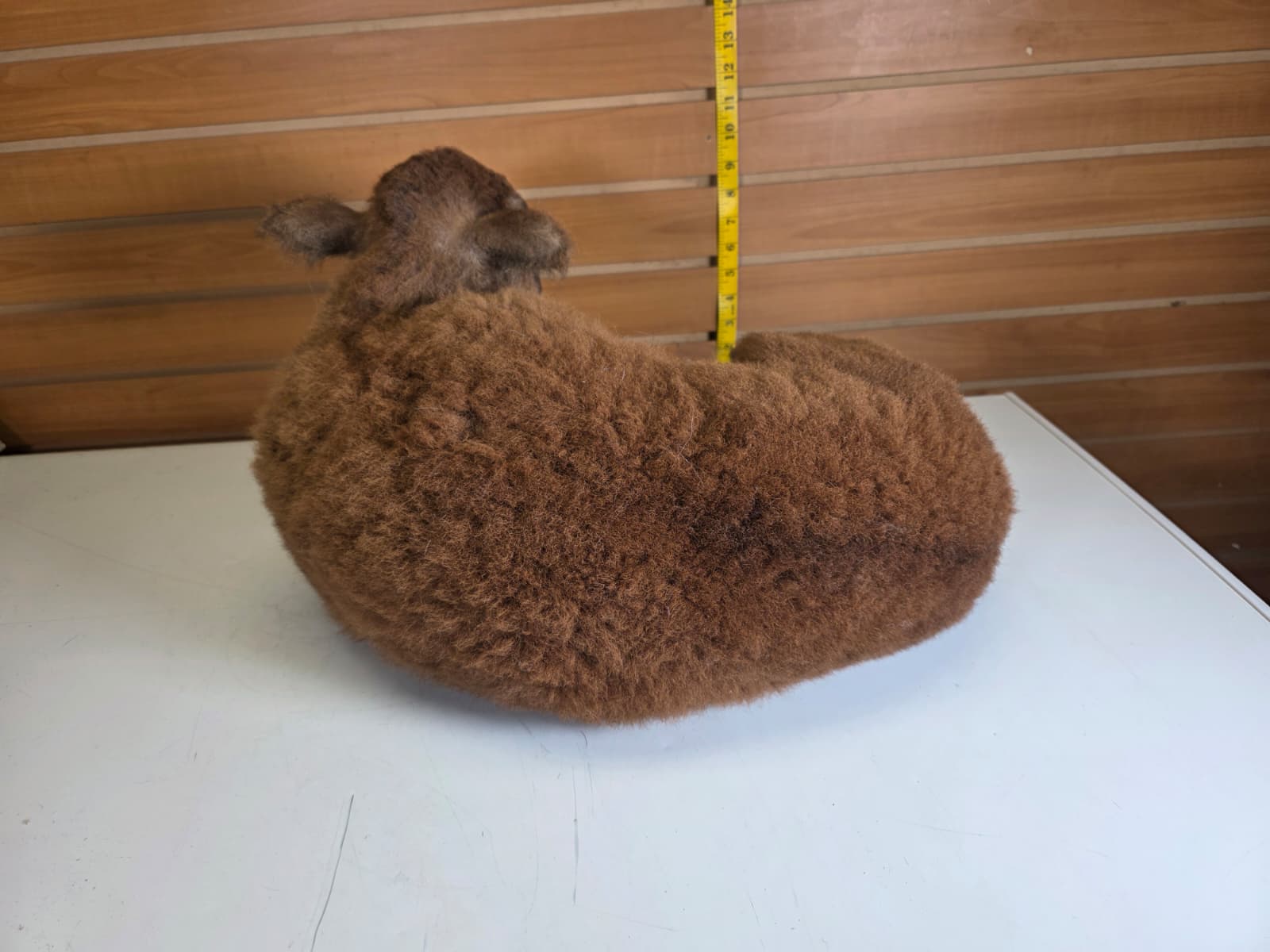 Fhkmbis1 - Baby Bison / Buffalo Calf Taxidermy – Lifelike Display