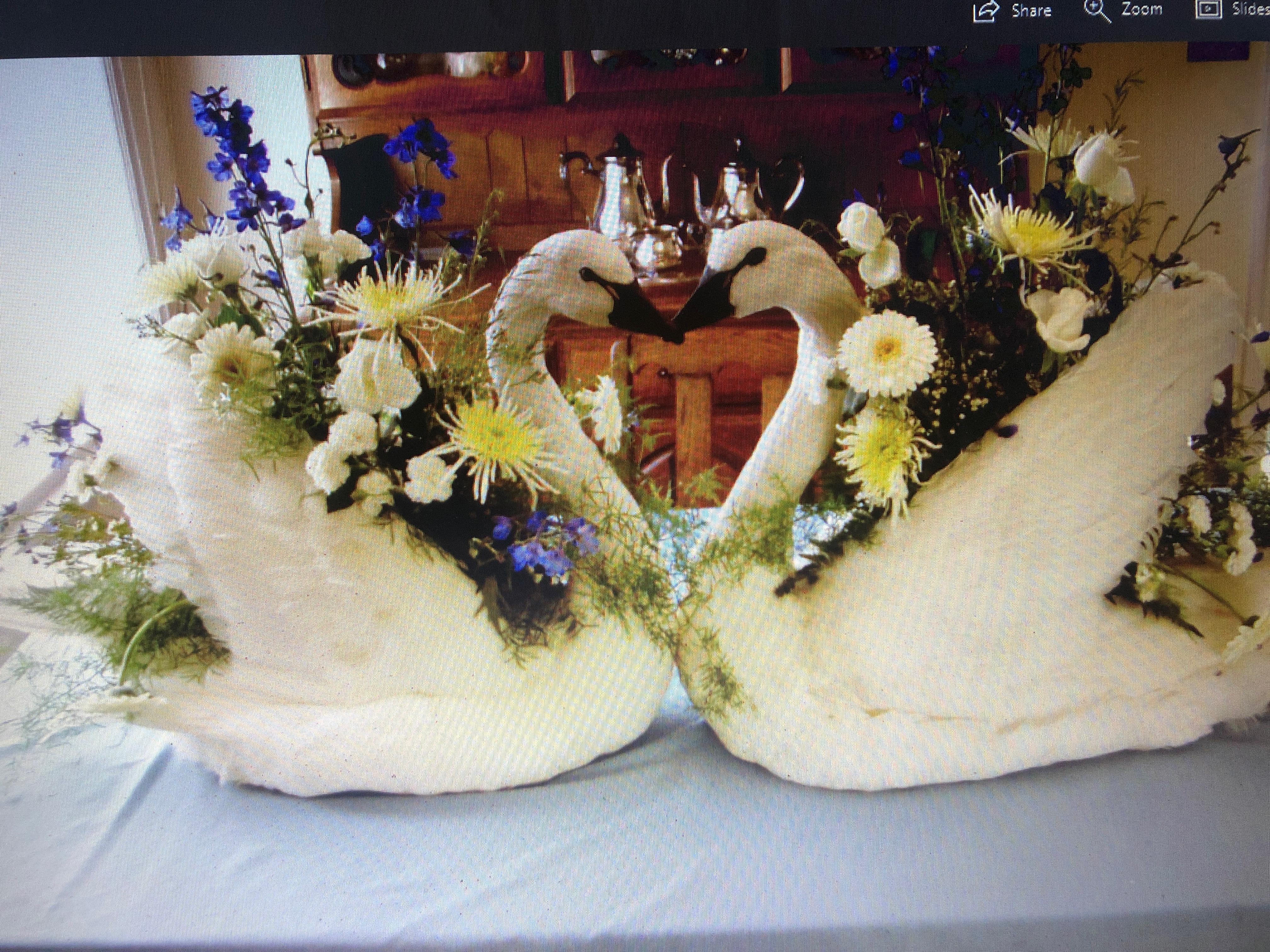 FHJOSWI - Mute Swan Pair Taxidermy – Museum Quality Display