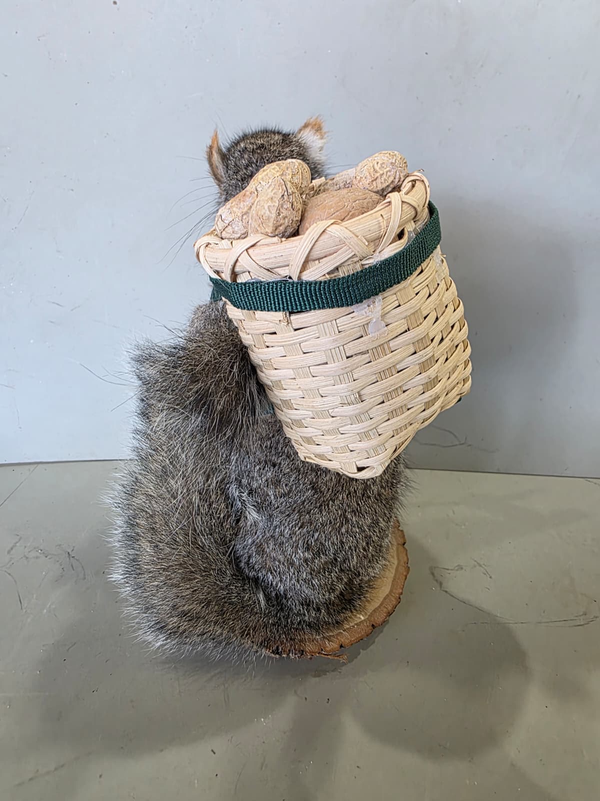 Jtv449 - Hiking Squirrel Taxidermy – Whimsical Outdoor Display