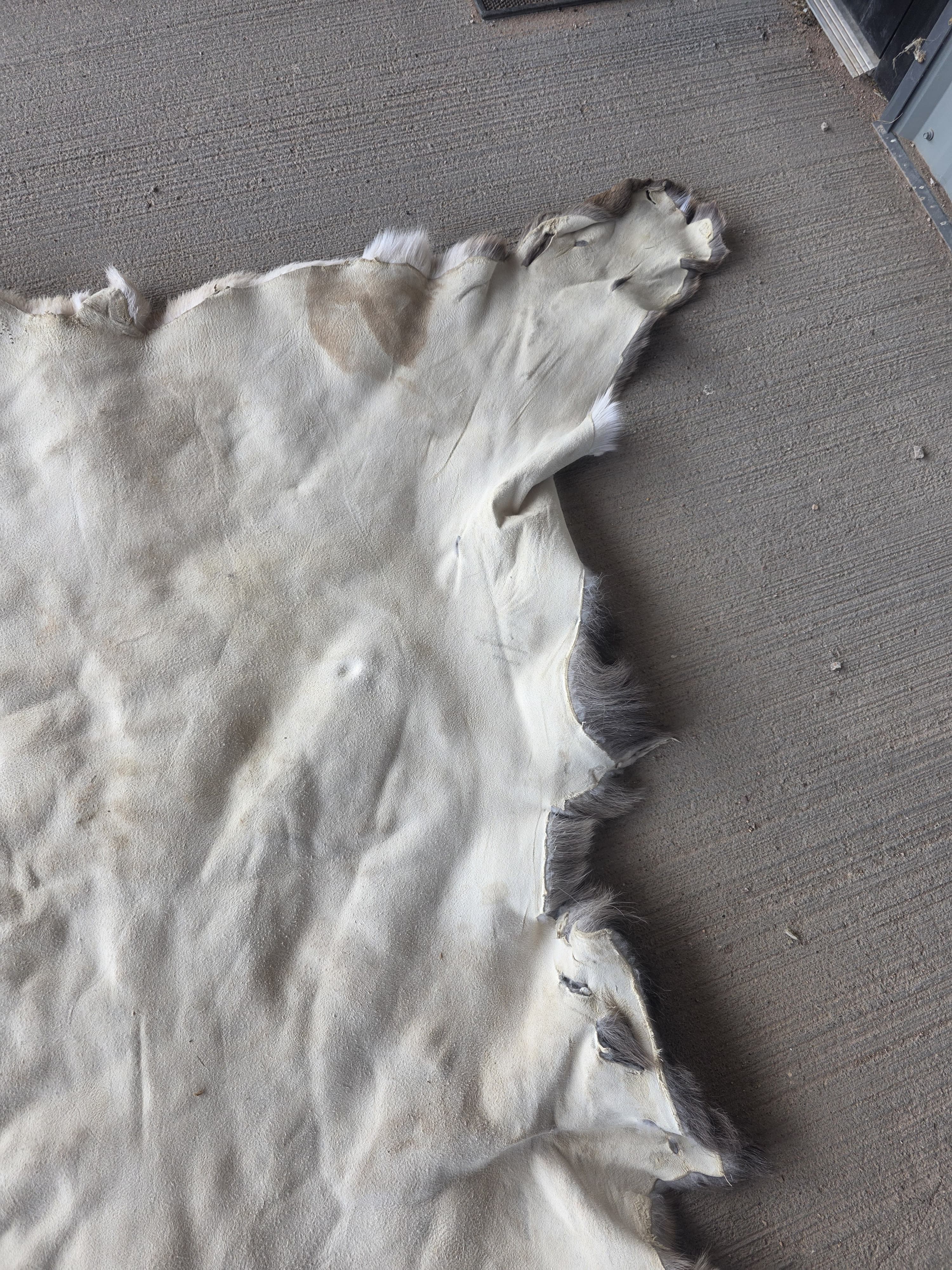 FHRAN86 - Elk Hide Pelt Fur – 48” x 29”