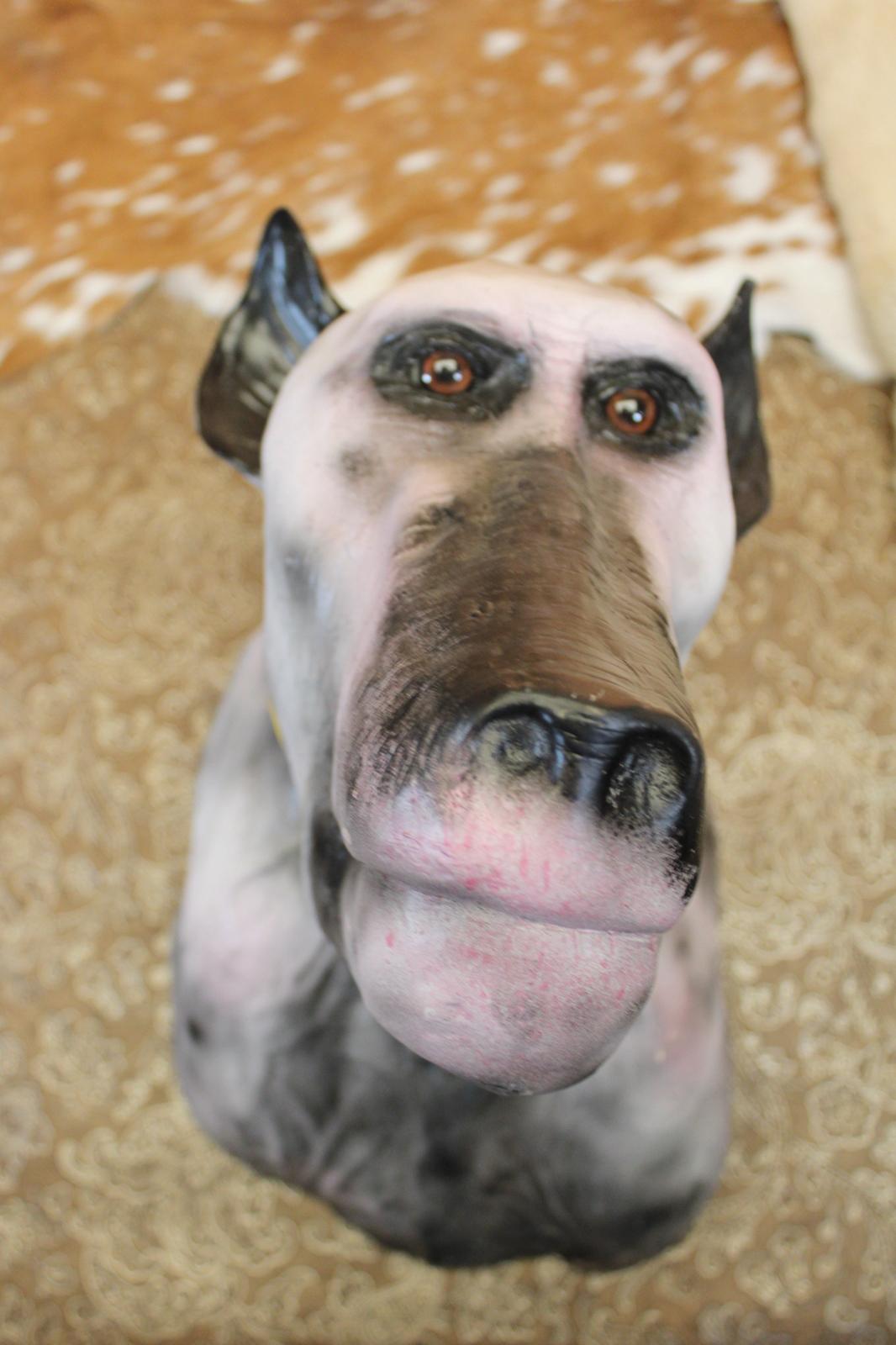 FHBB07 - reproduction Artisanal Taxidermy Dog Specimen