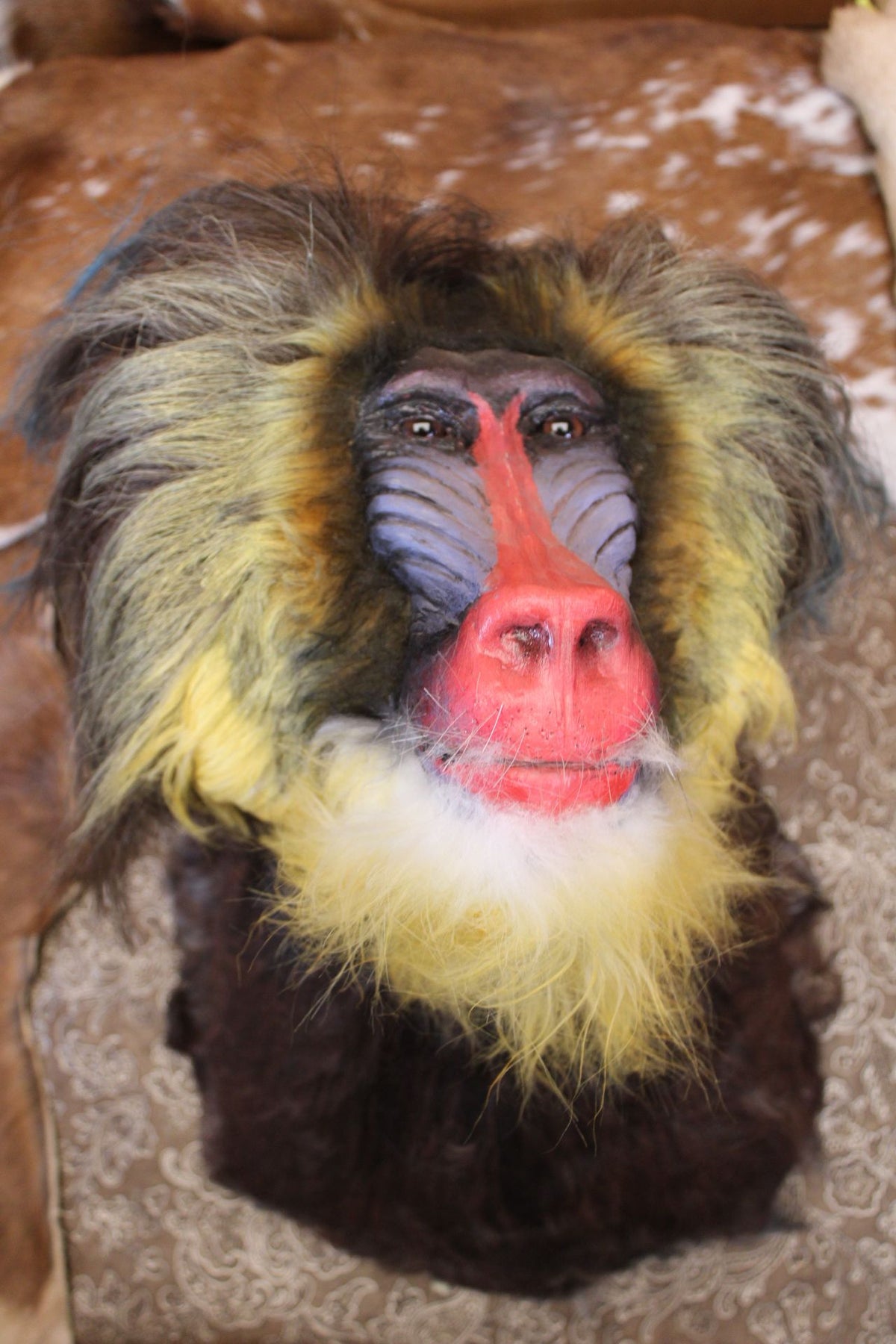FHRBB09 - Reproduction mandrill monkey taxidermy mount