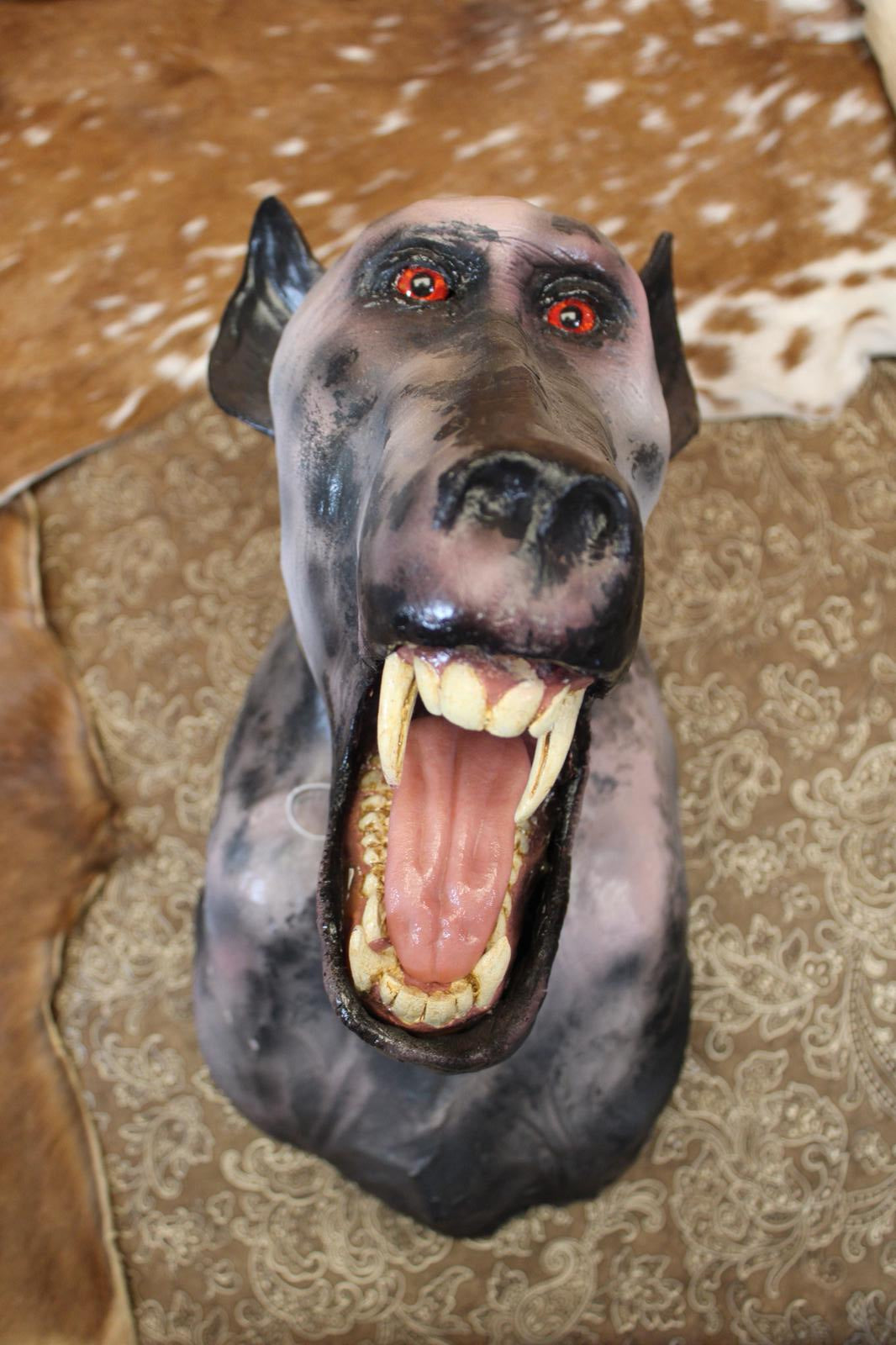 FHRBB06 - reproduction Artisanal Taxidermy Dog Specimen
