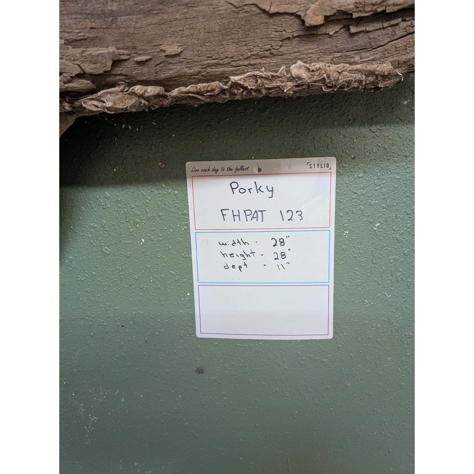 FHPAT123 - Beautiful Montana Prime Winter Porcupine Taxidermy Mount