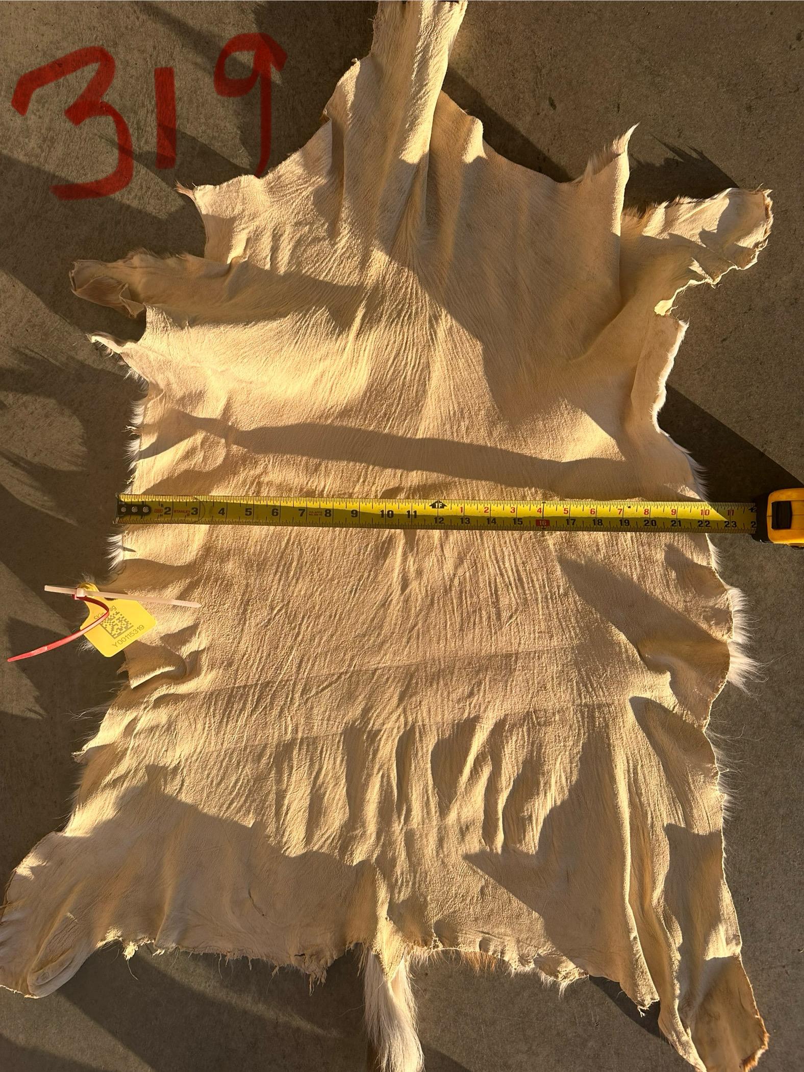 FHWA400 - Professionally tanned XL axis deer hide