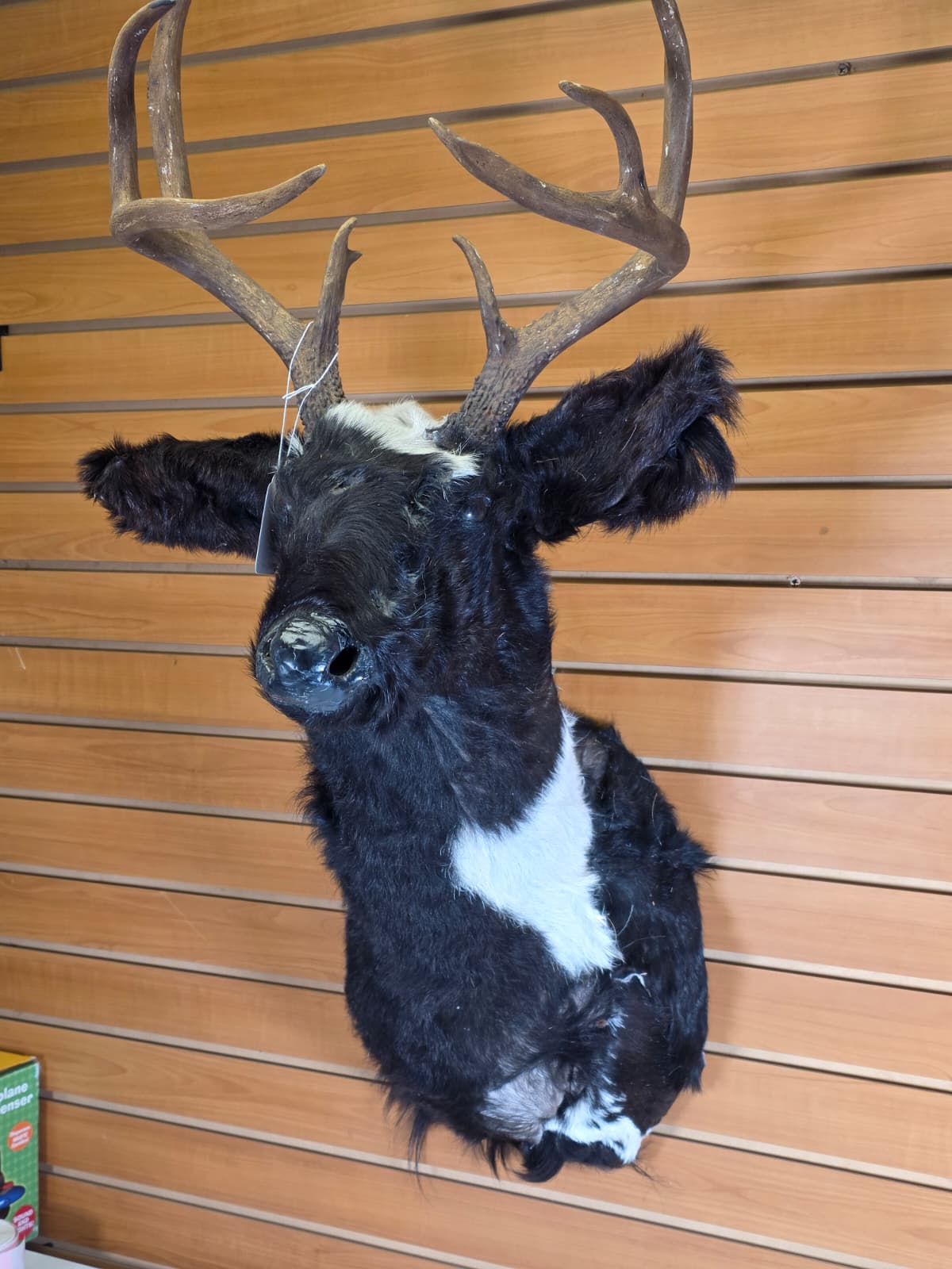 Jtv115 - Replica Deer/Elk Head – Taxidermy Mount with Large Branched Antlers