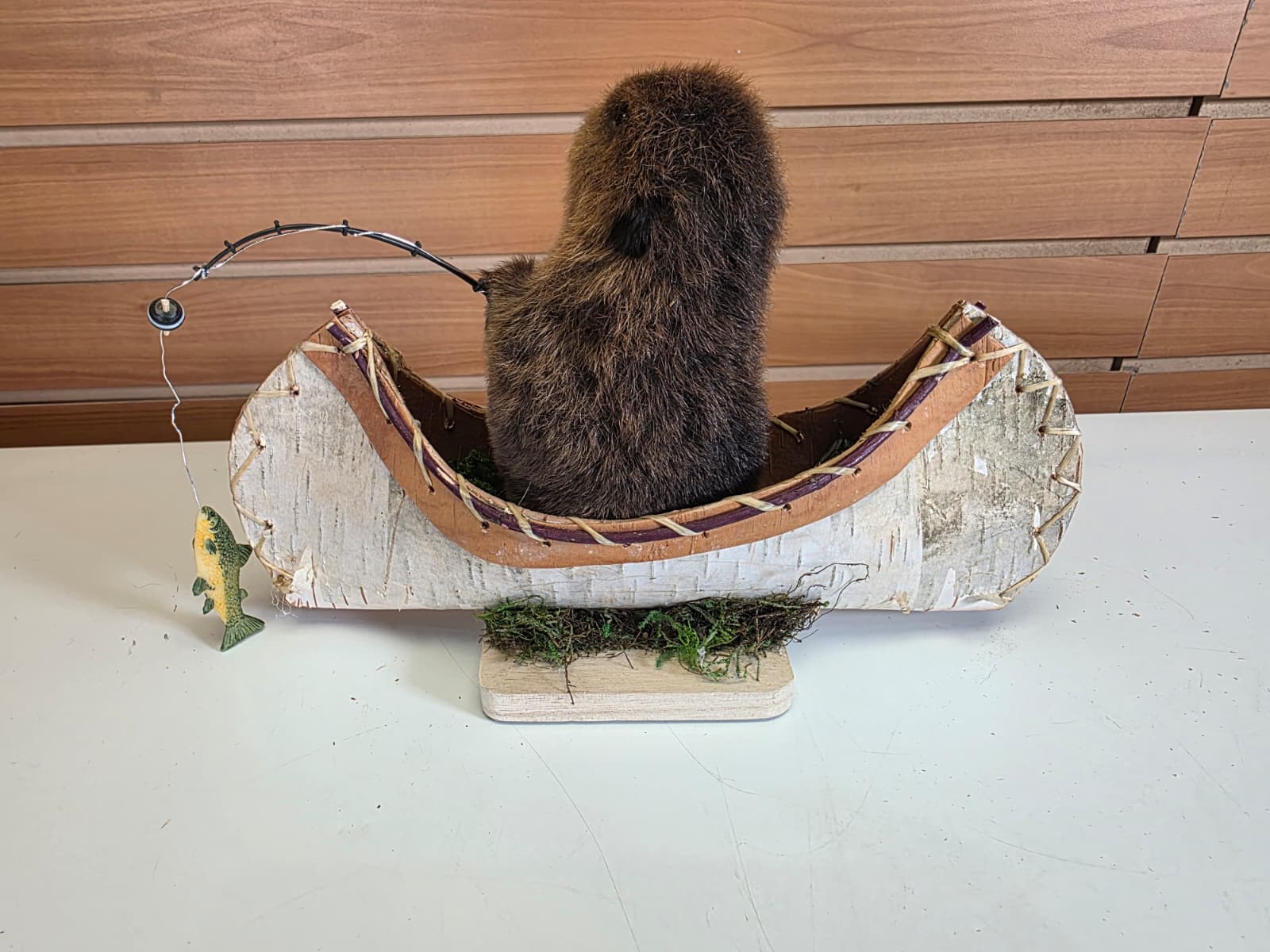 FHCK61 - Baby Beaver in Canoe Taxidermy Mount
