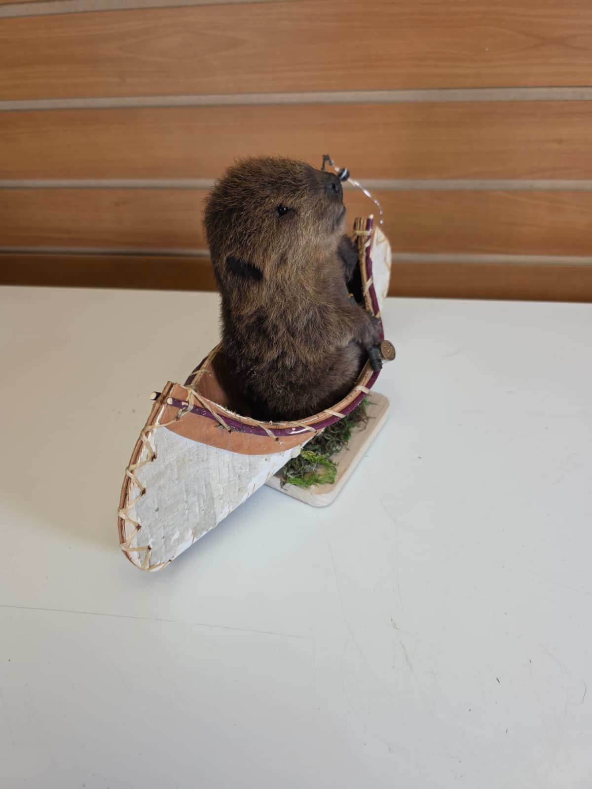 FHCK61 - Baby Beaver in Canoe Taxidermy Mount