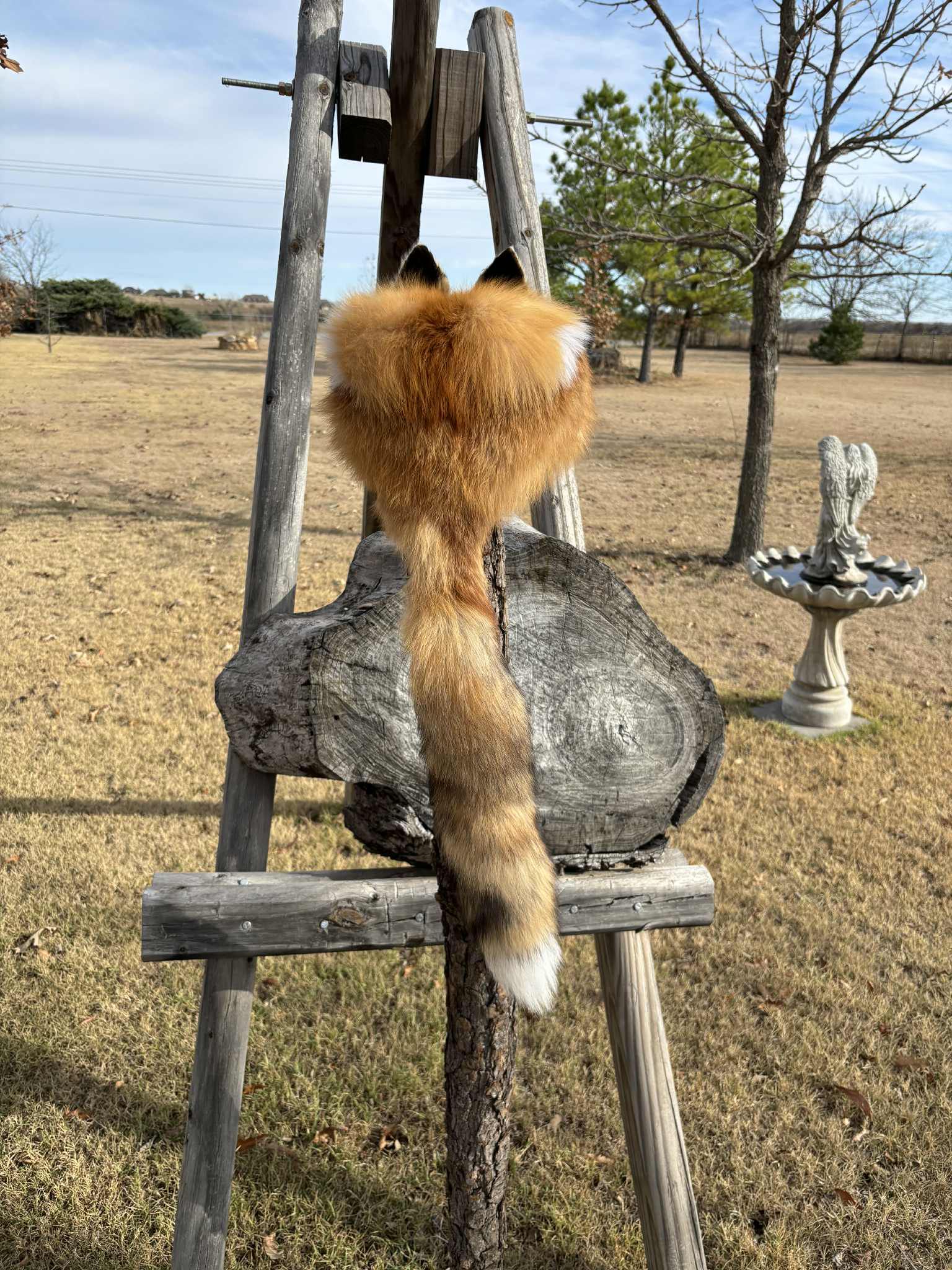 FHMM4 - Red Fox Daniel Boone hat