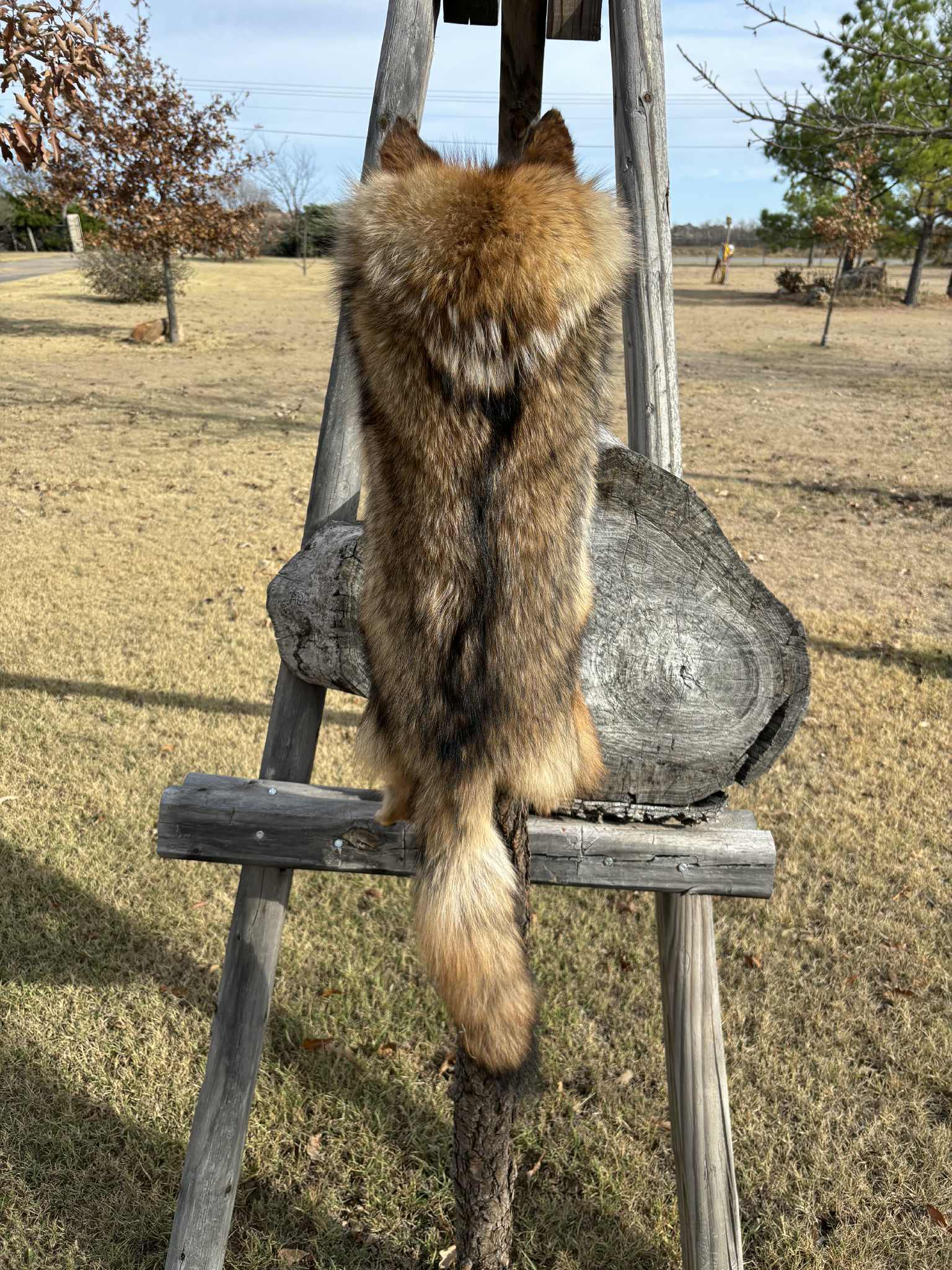 FHMM3 - Coyote Drape Hat