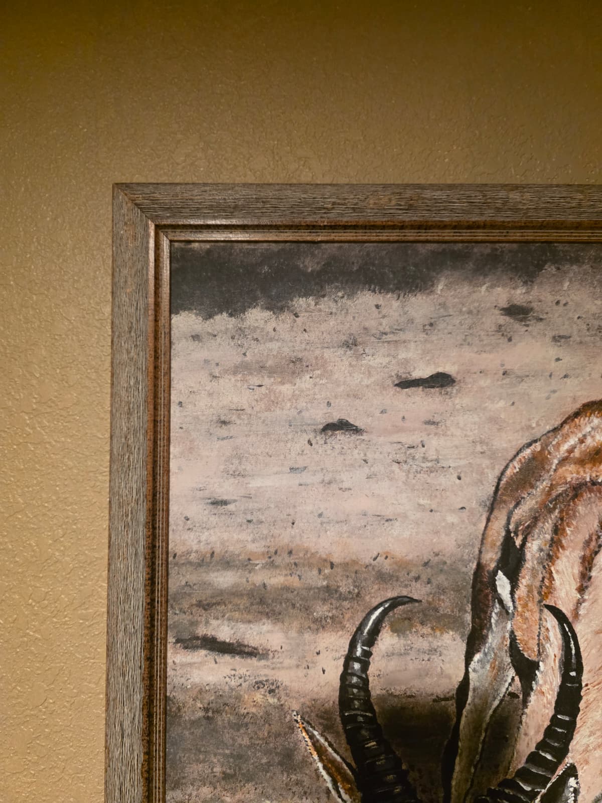 FH1 - Framed Wildlife Art – Antelope