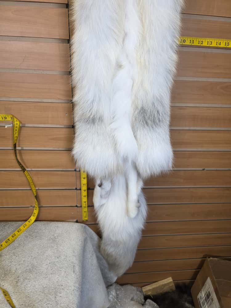 JTV292 - Ranch Fox Fur – Taxidermy Mount