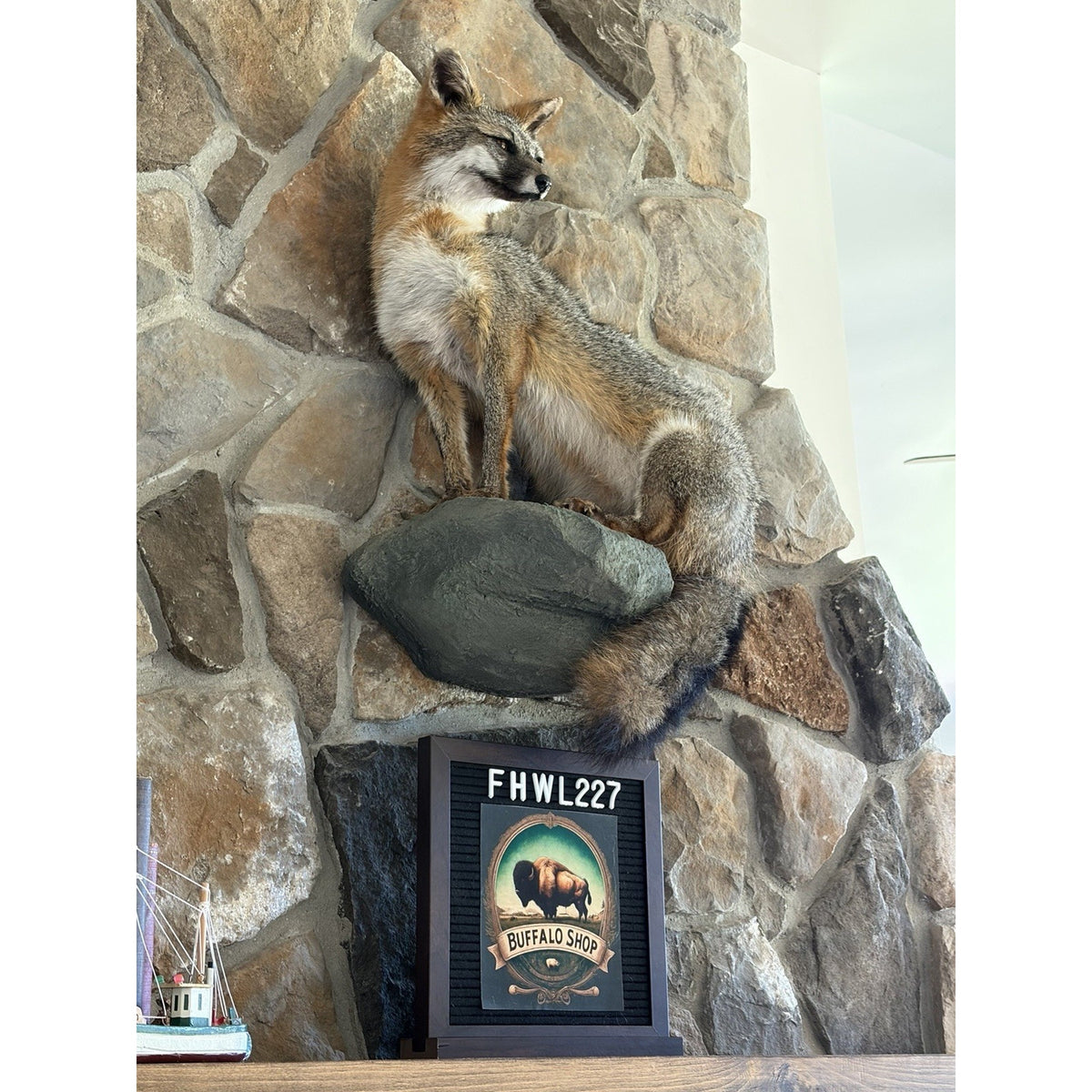 FHWL227 - Grey Fox Taxidermy Full Body Mount Cabin Camp Man Cave