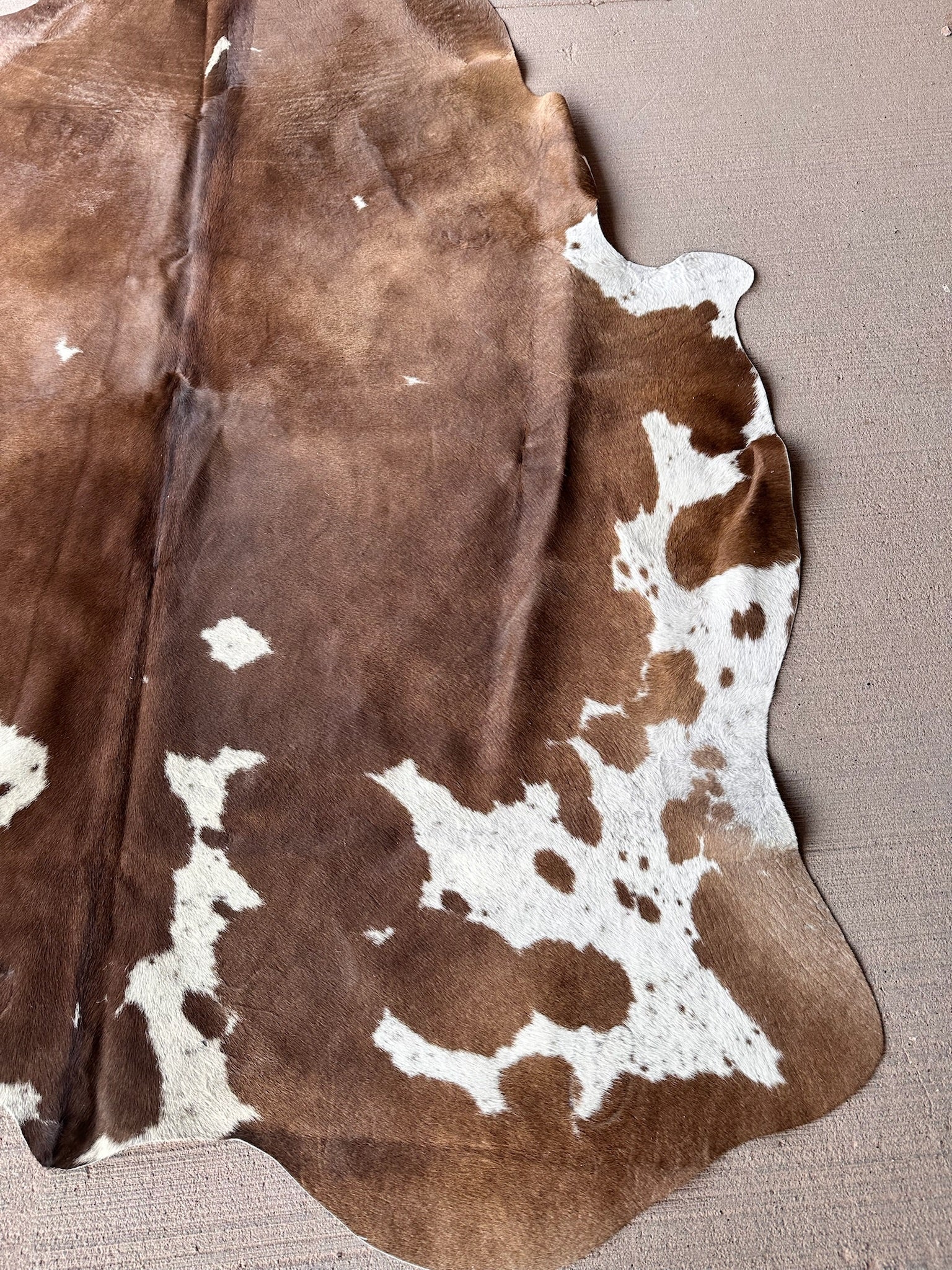 FHCOW29 - Premium Cow Hide Rugs Home Decor