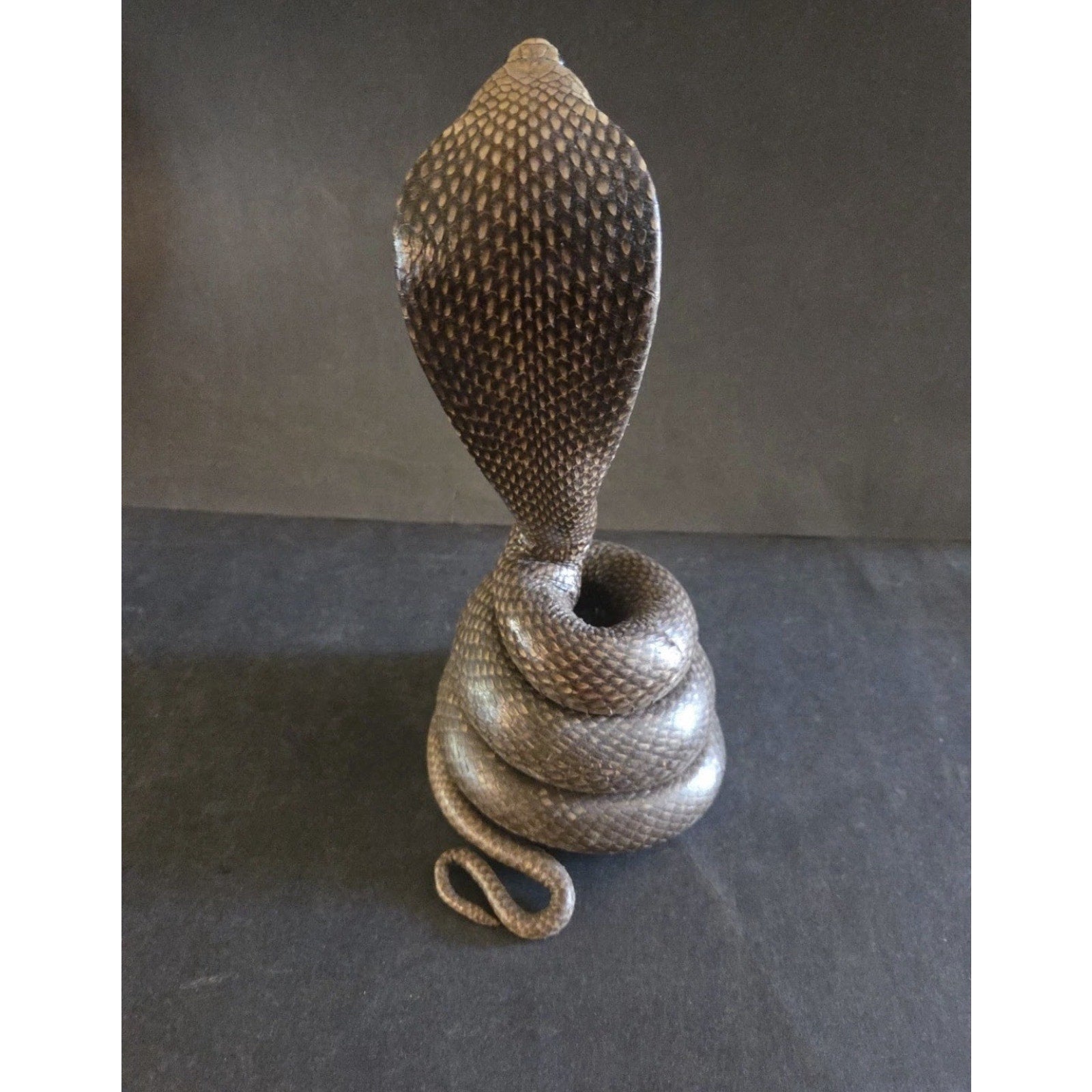 12” Striking Position Cobra Snake Taxidermy Reptile Mount Vintage Real Snake