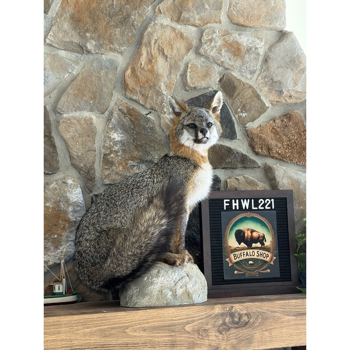 FHWL221 - Grey Fox Taxidermy Full Body Mount Cabin Camp Man Cave