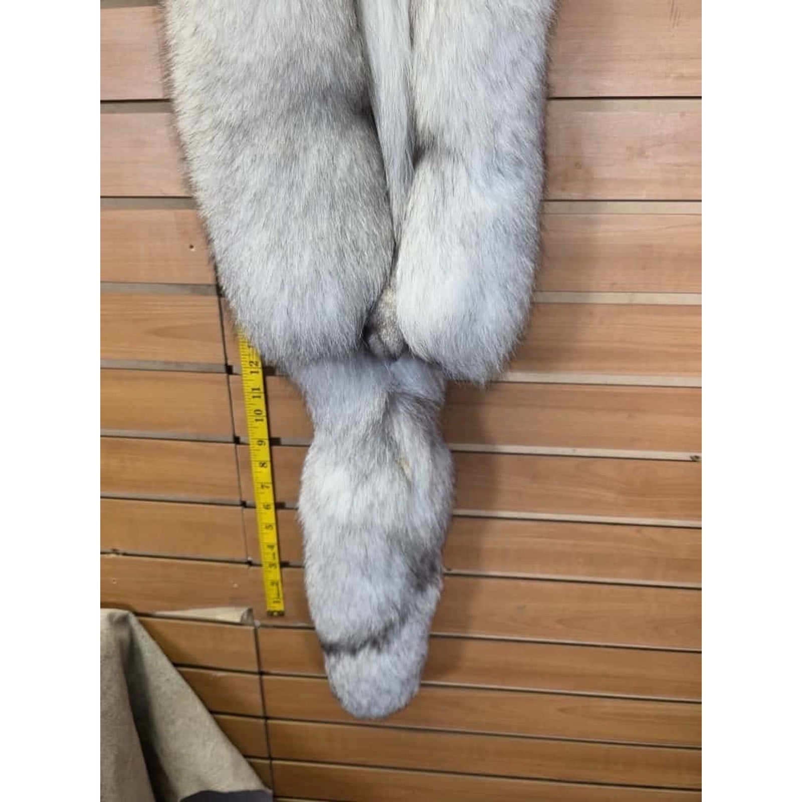 FHCM6- Blue Ranch Fox Soft Tanned Furs Taxidermy