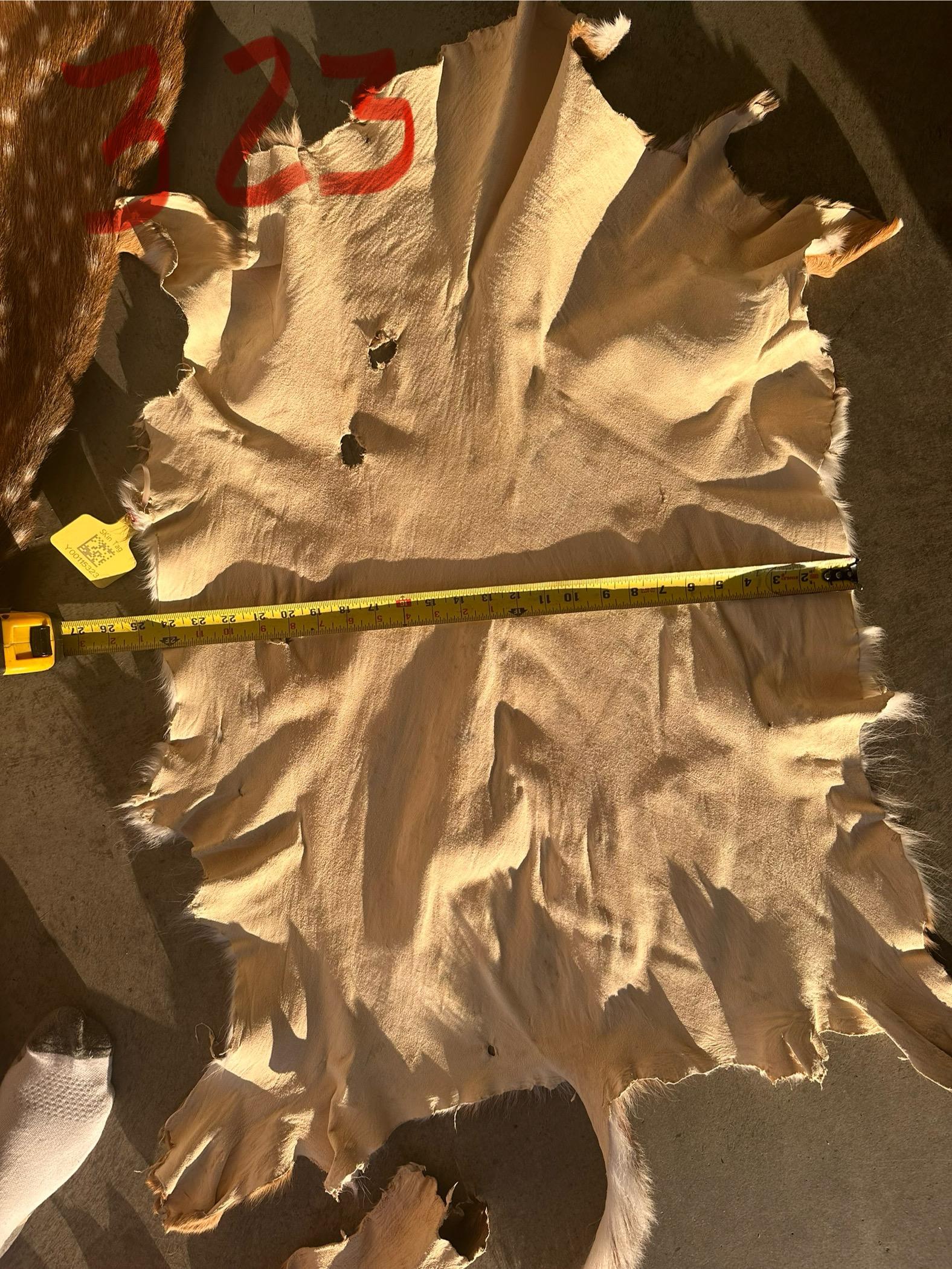 FHWA400 - Professionally tanned XL axis deer hide