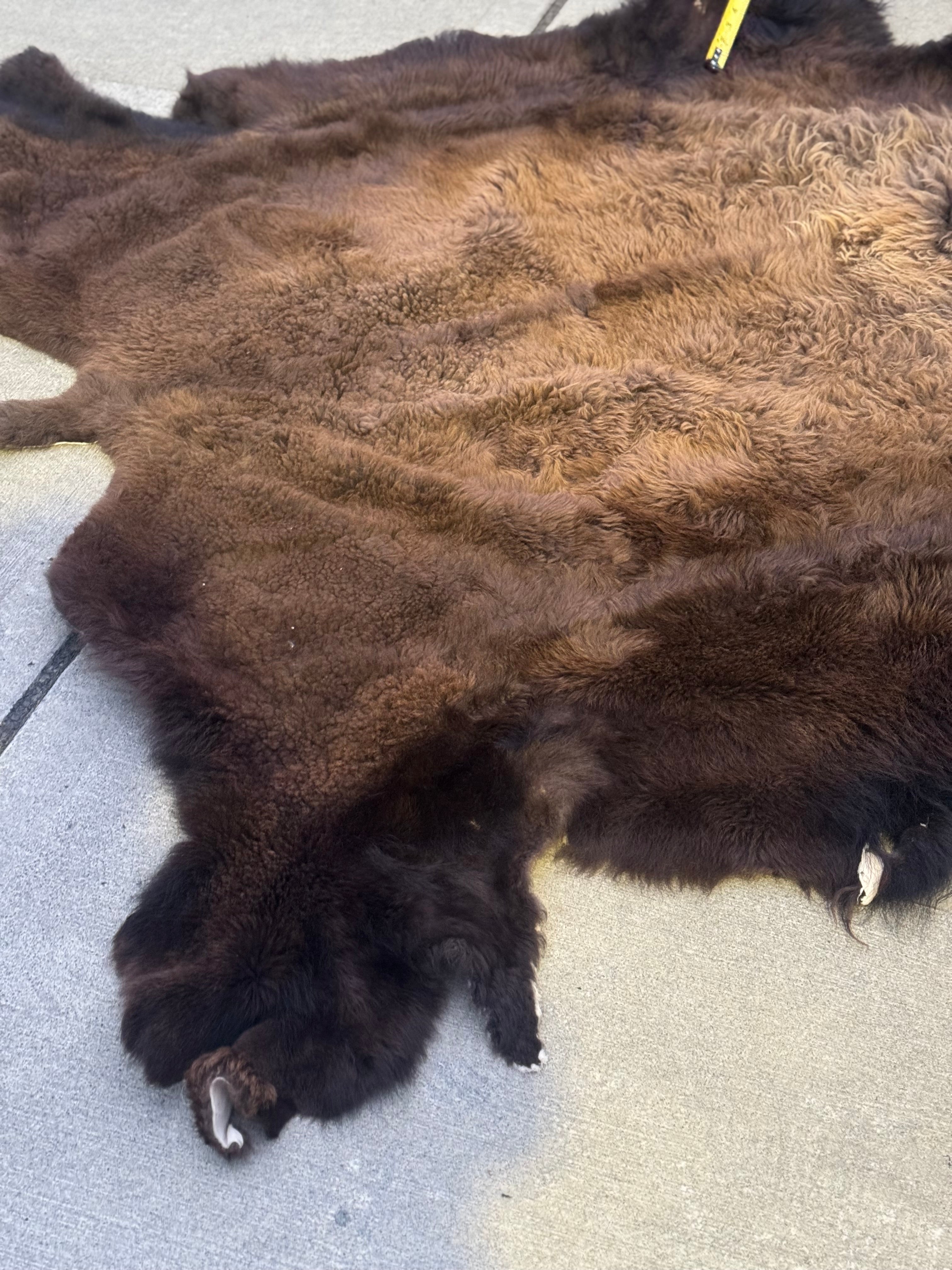 FHWA556 - XXL premium Prime Real Buffalo / Bison Fresh Taxidermy Rug Hide